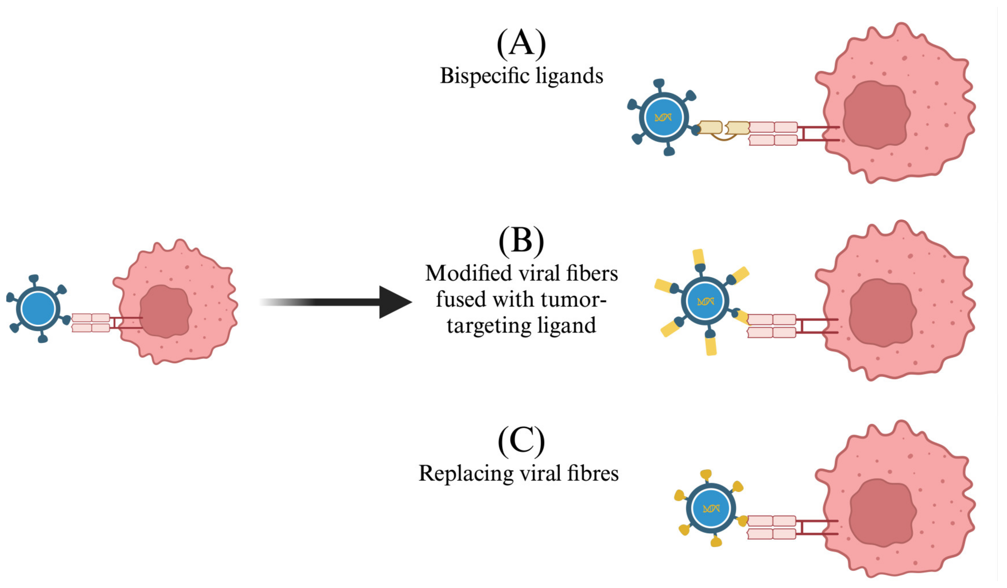 Biomedicines 13 00108 g004 Biomedicines 13 00108 g004