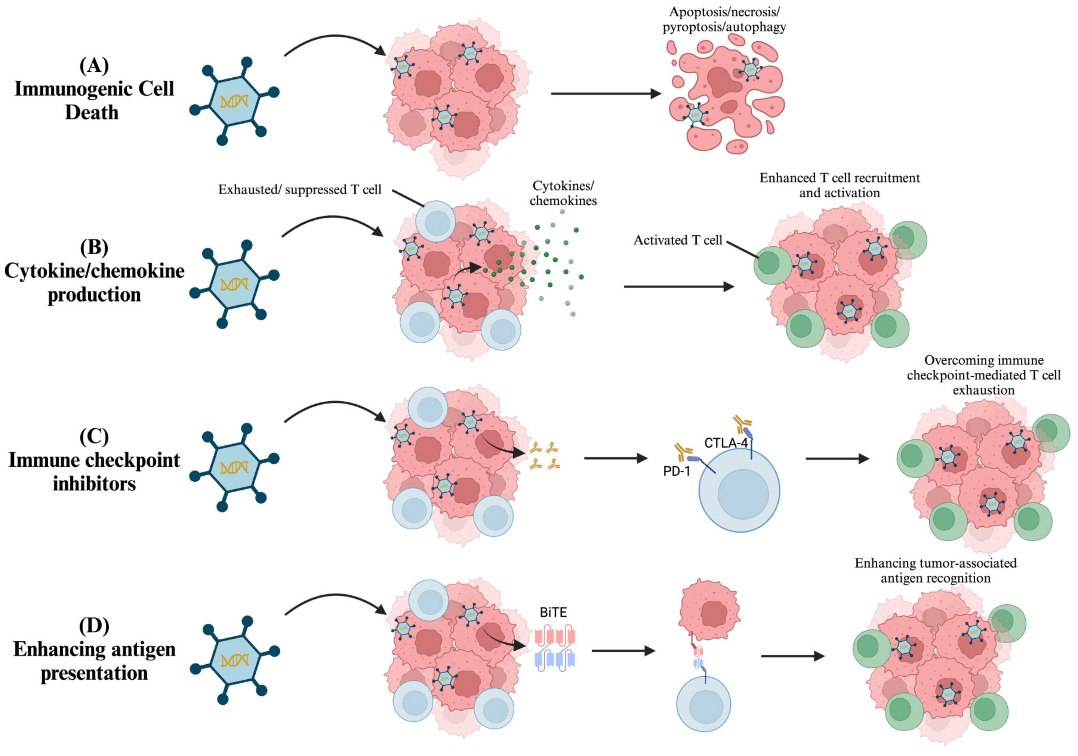 Biomedicines 13 00108 g005 Biomedicines 13 00108 g005