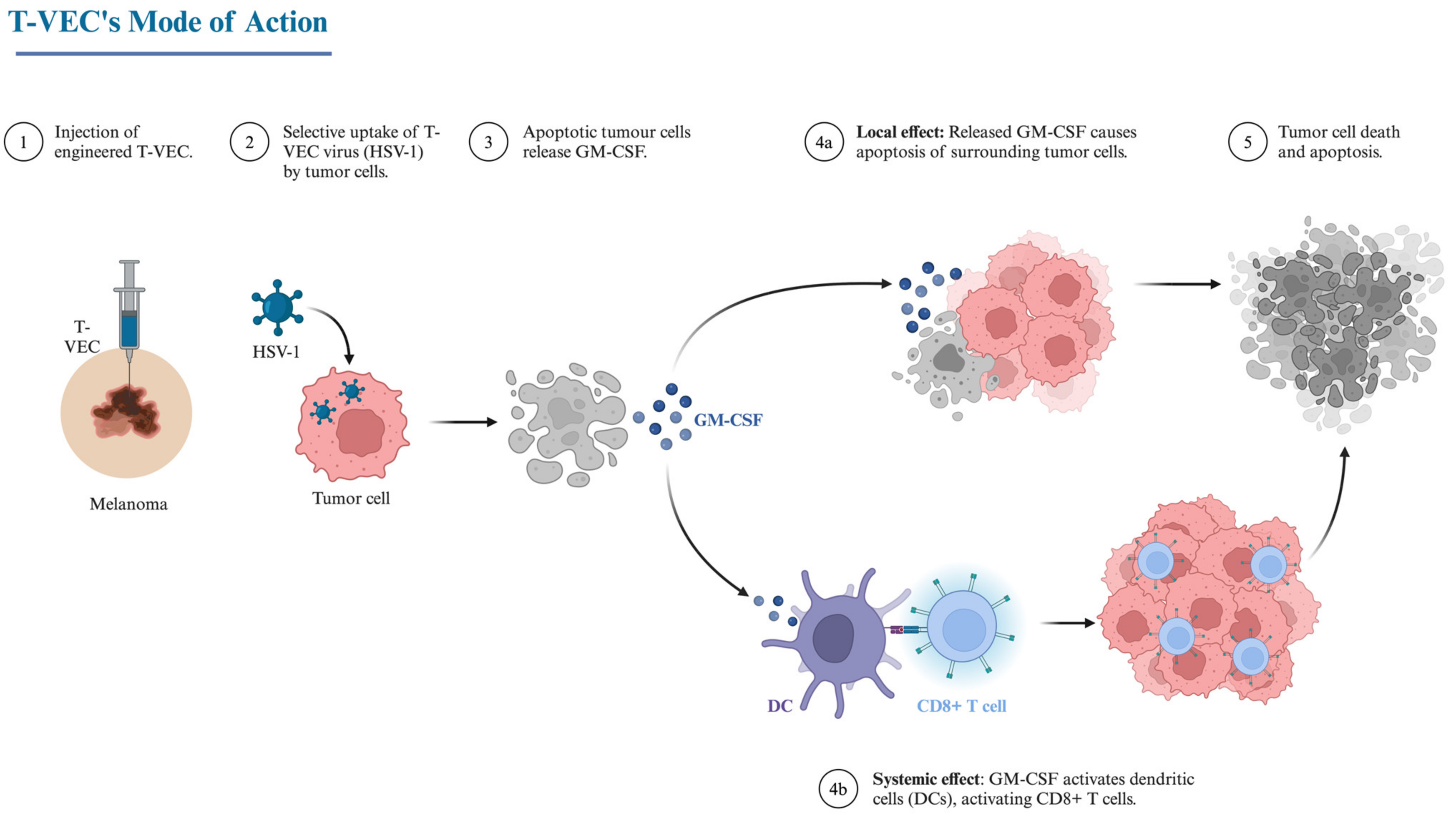 Biomedicines 13 00108 g006 Biomedicines 13 00108 g006