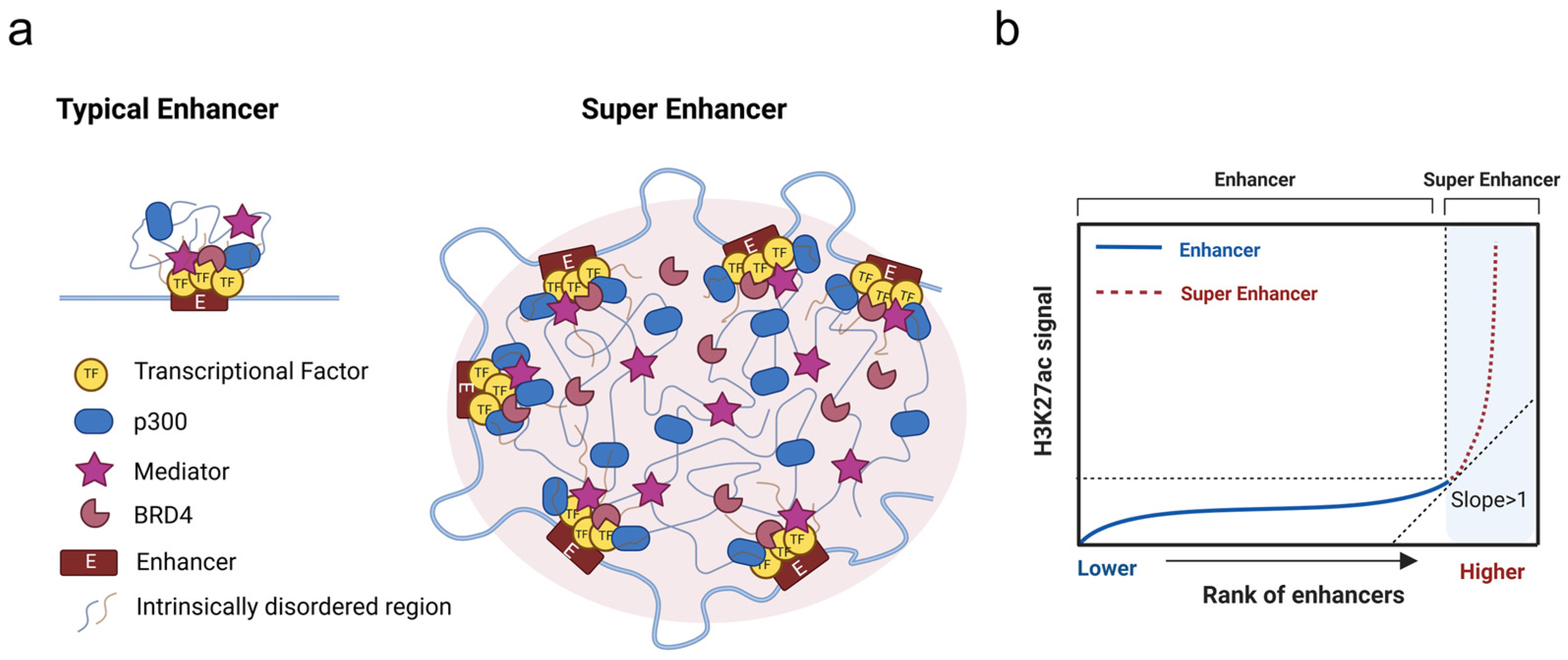 Biomedicines 13 00117 g001