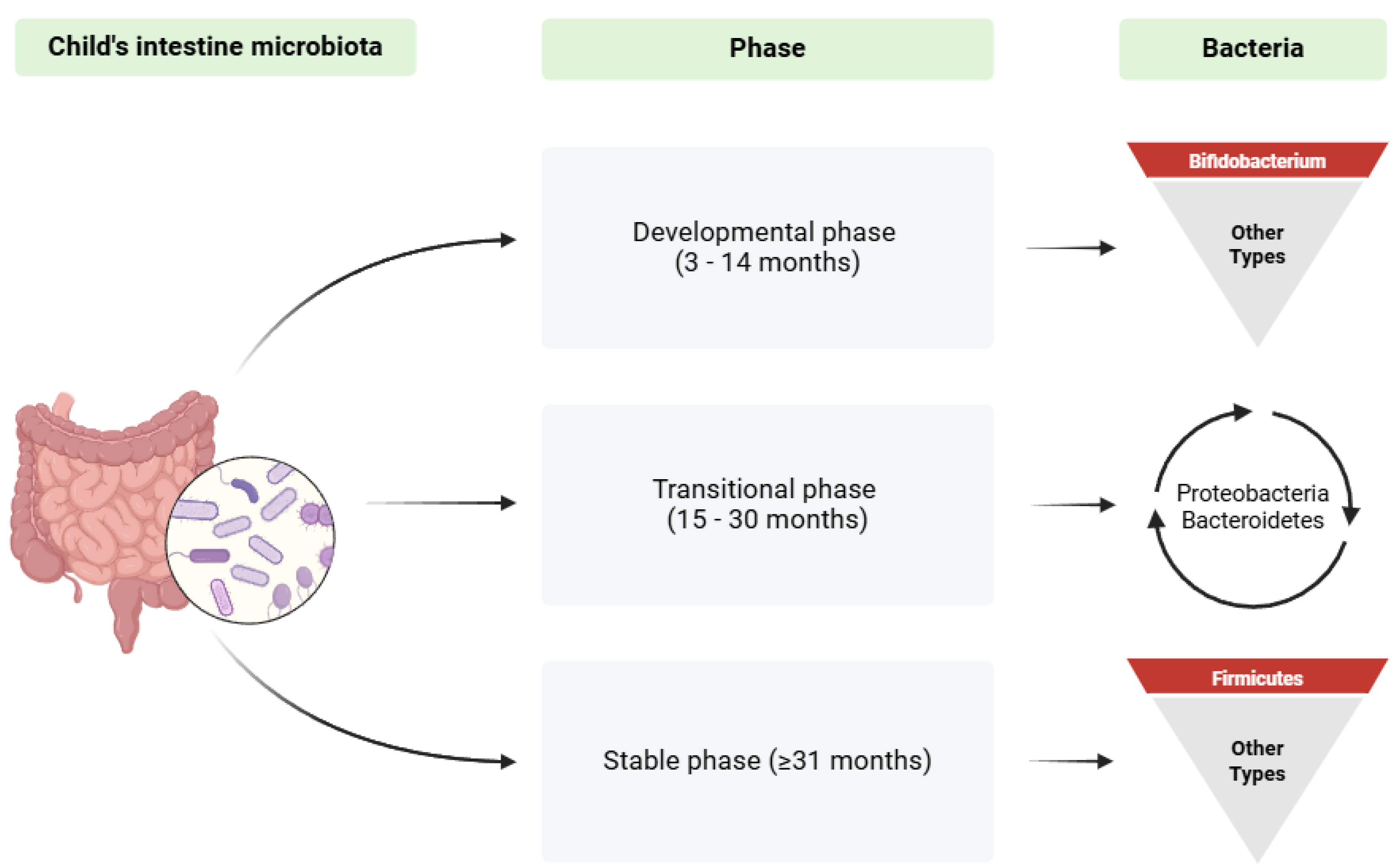 Biomedicines 13 00121 g001