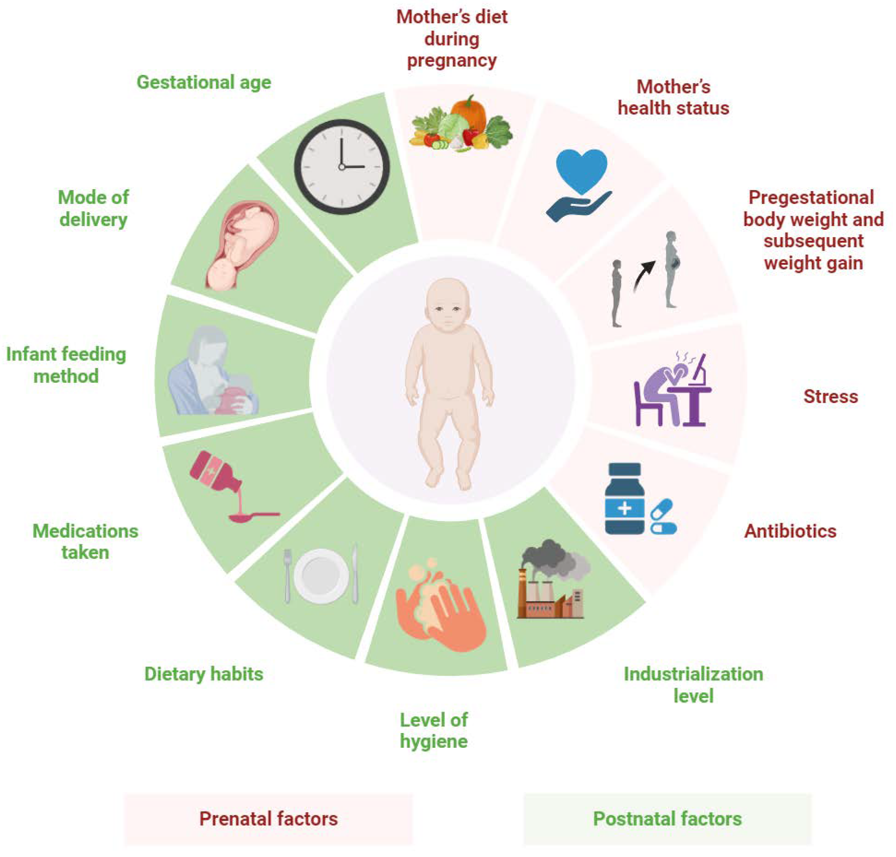 Biomedicines 13 00121 g003