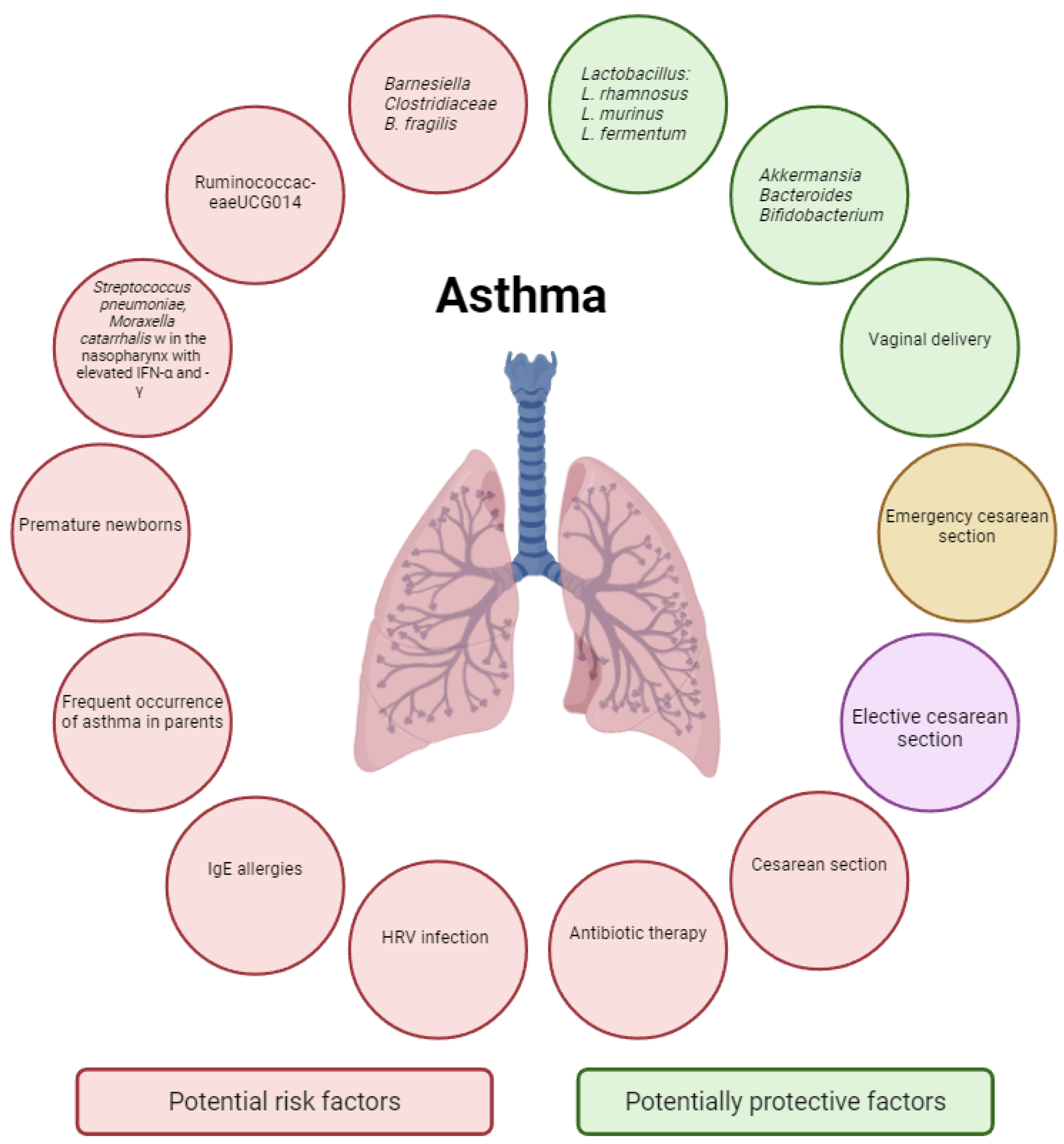 Biomedicines 13 00121 g004