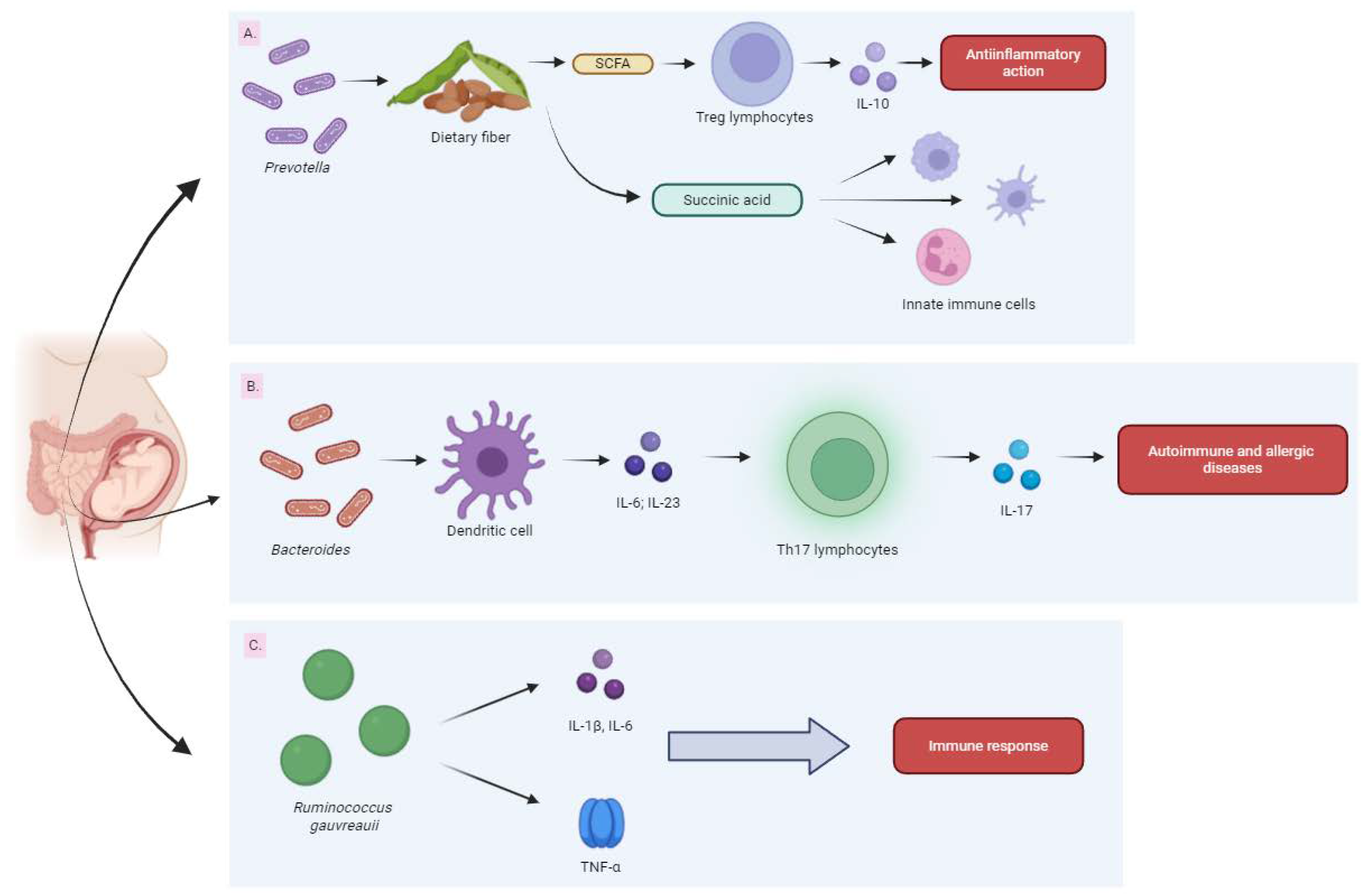 Biomedicines 13 00121 g005