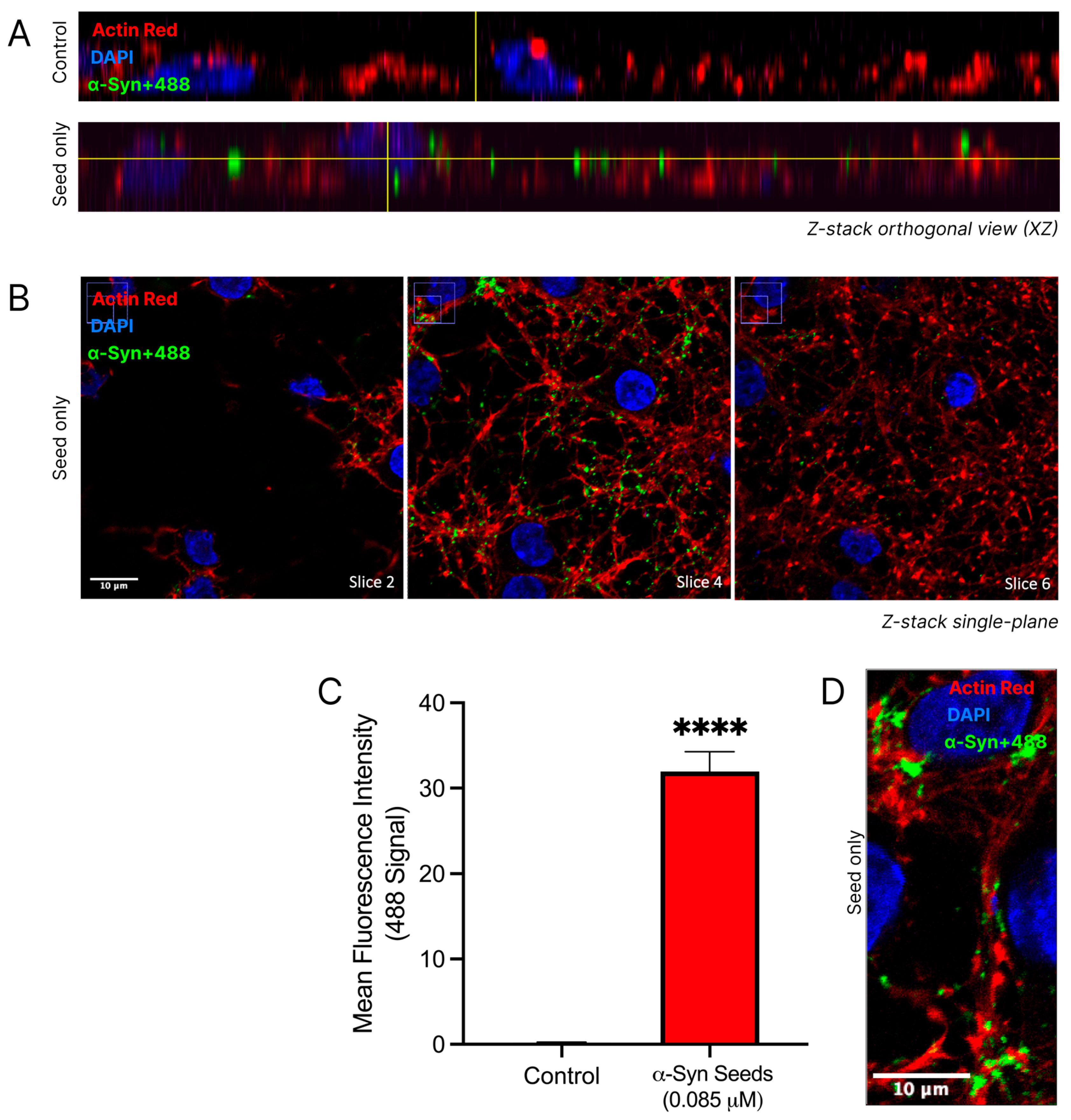 Biomedicines 13 00122 g005