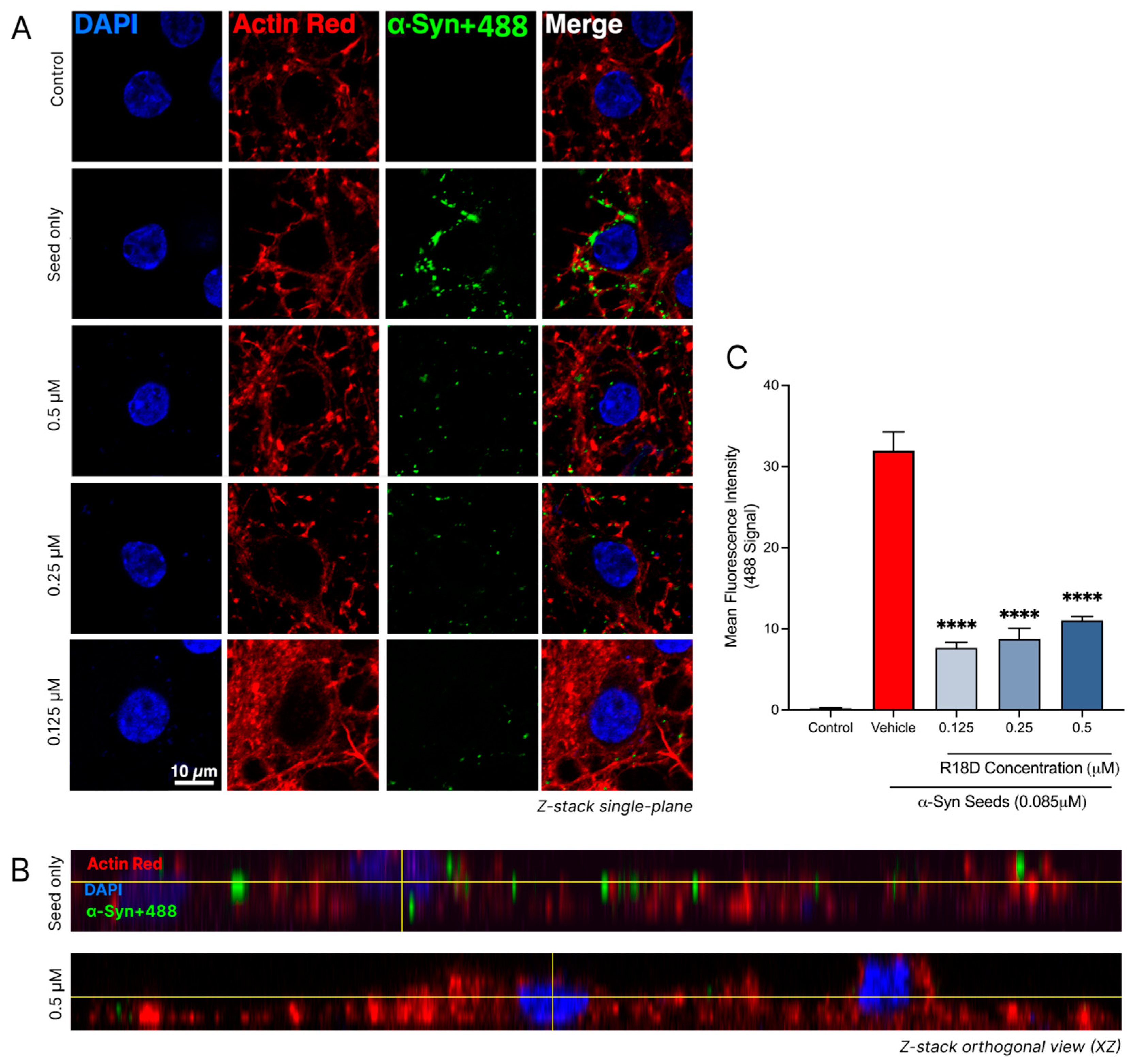Biomedicines 13 00122 g008