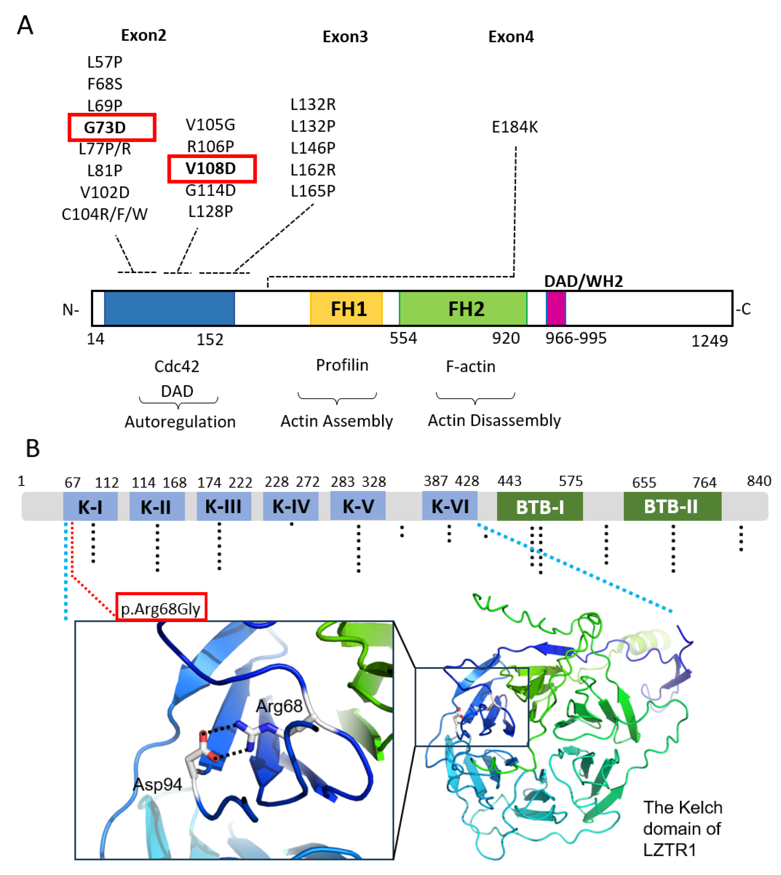 Biomedicines 13 00127 g004