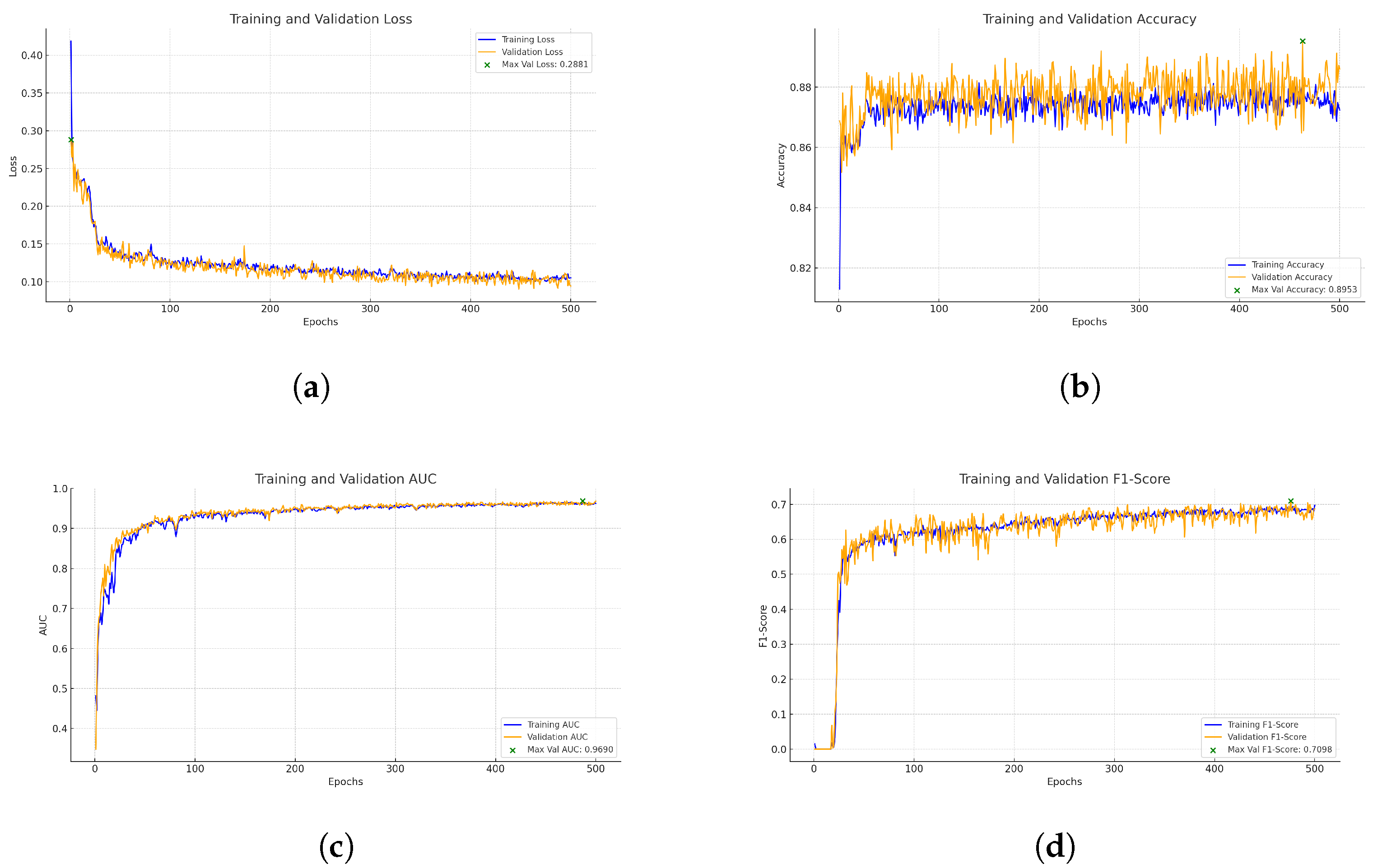 Biomedicines 13 00141 g010