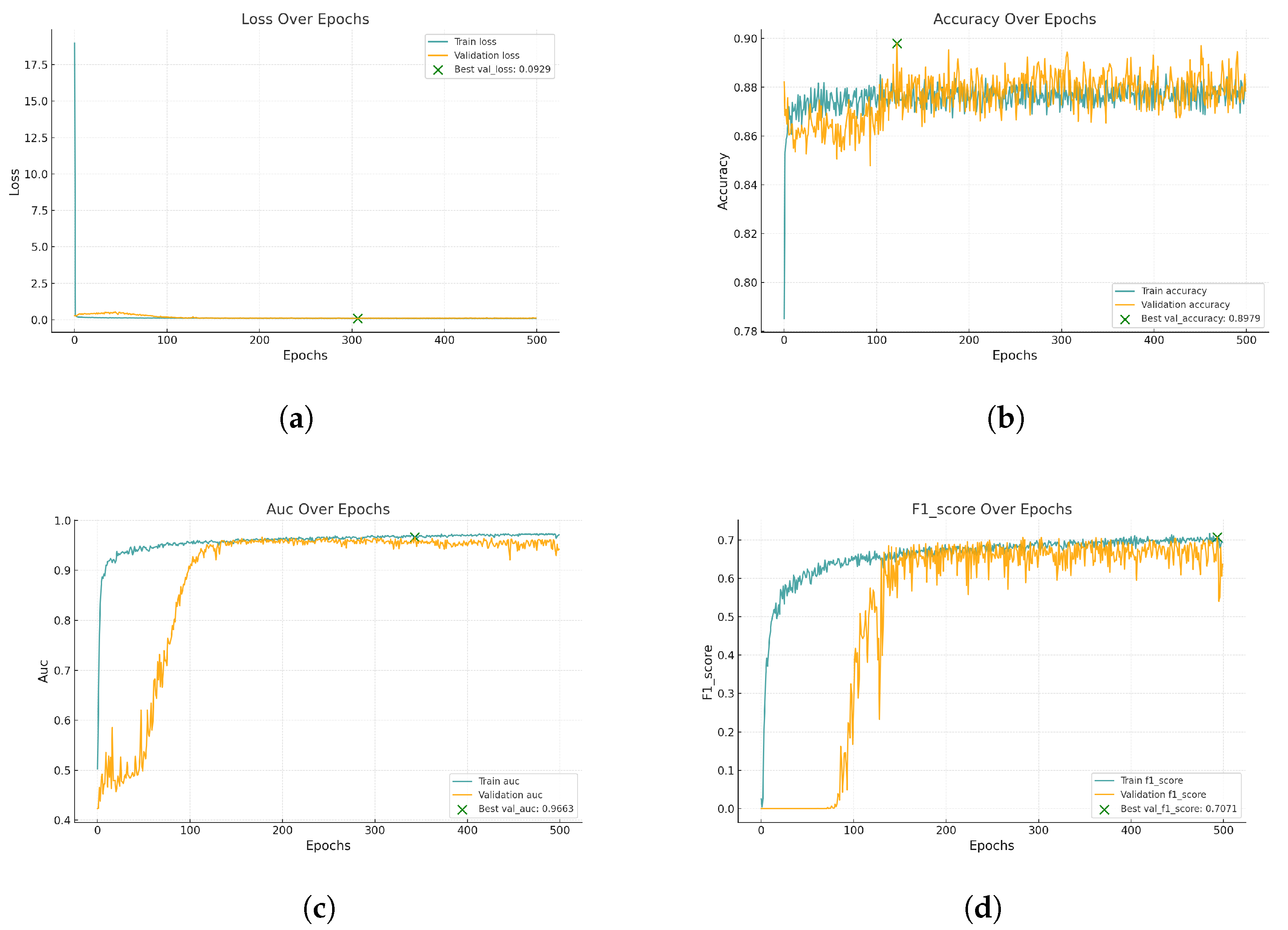 Biomedicines 13 00141 g011