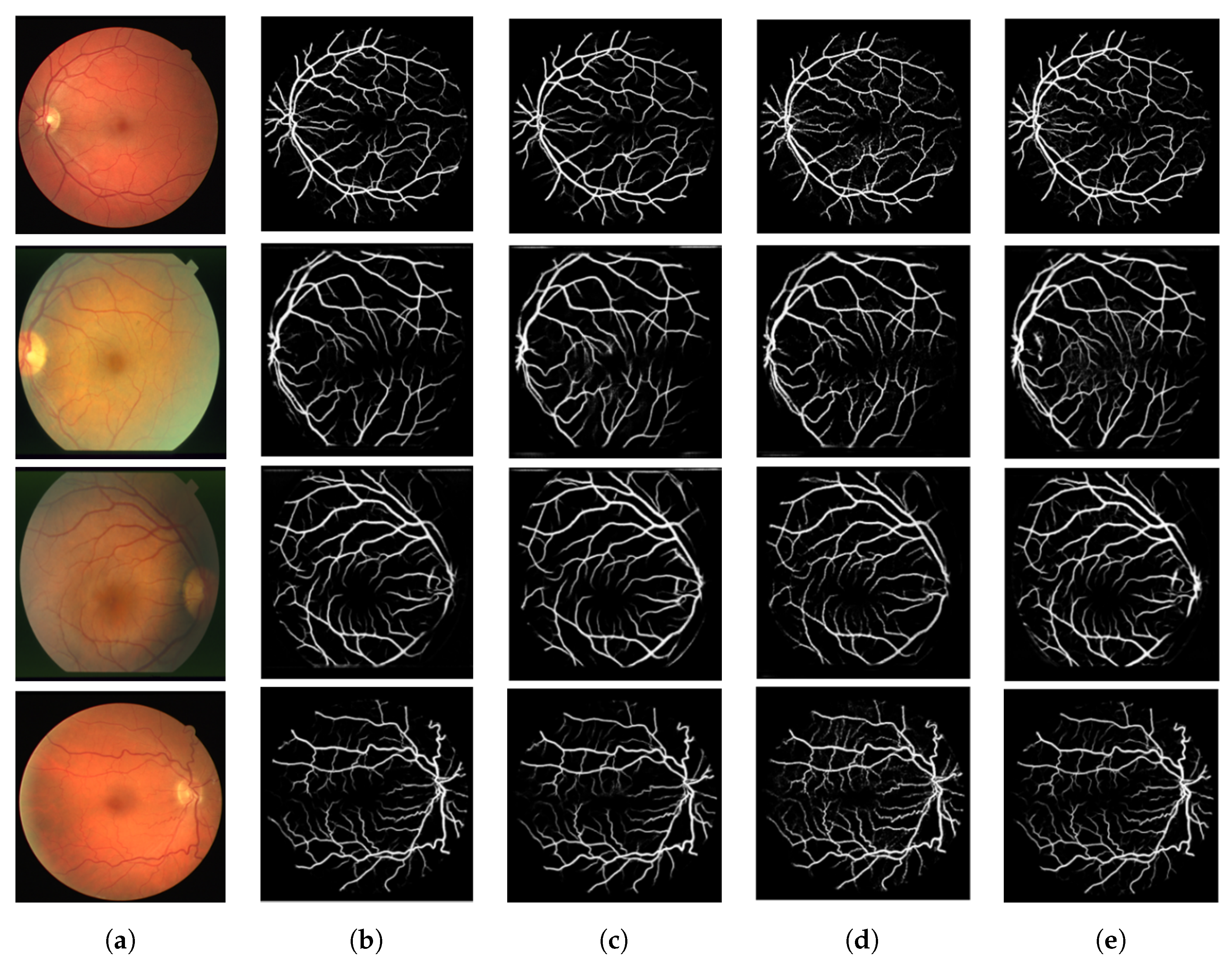 Biomedicines 13 00141 g017