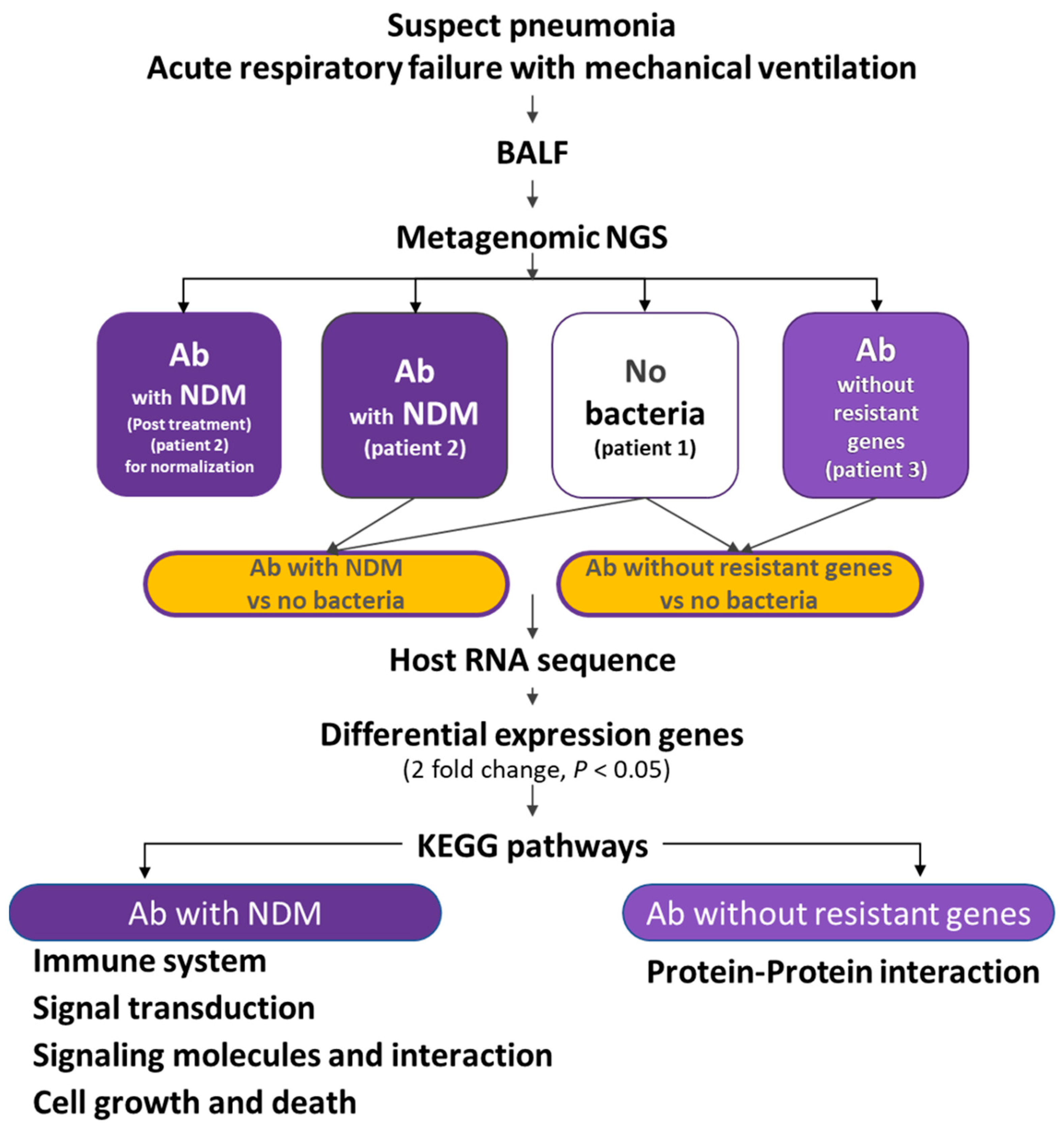 Biomedicines 13 00142 g001