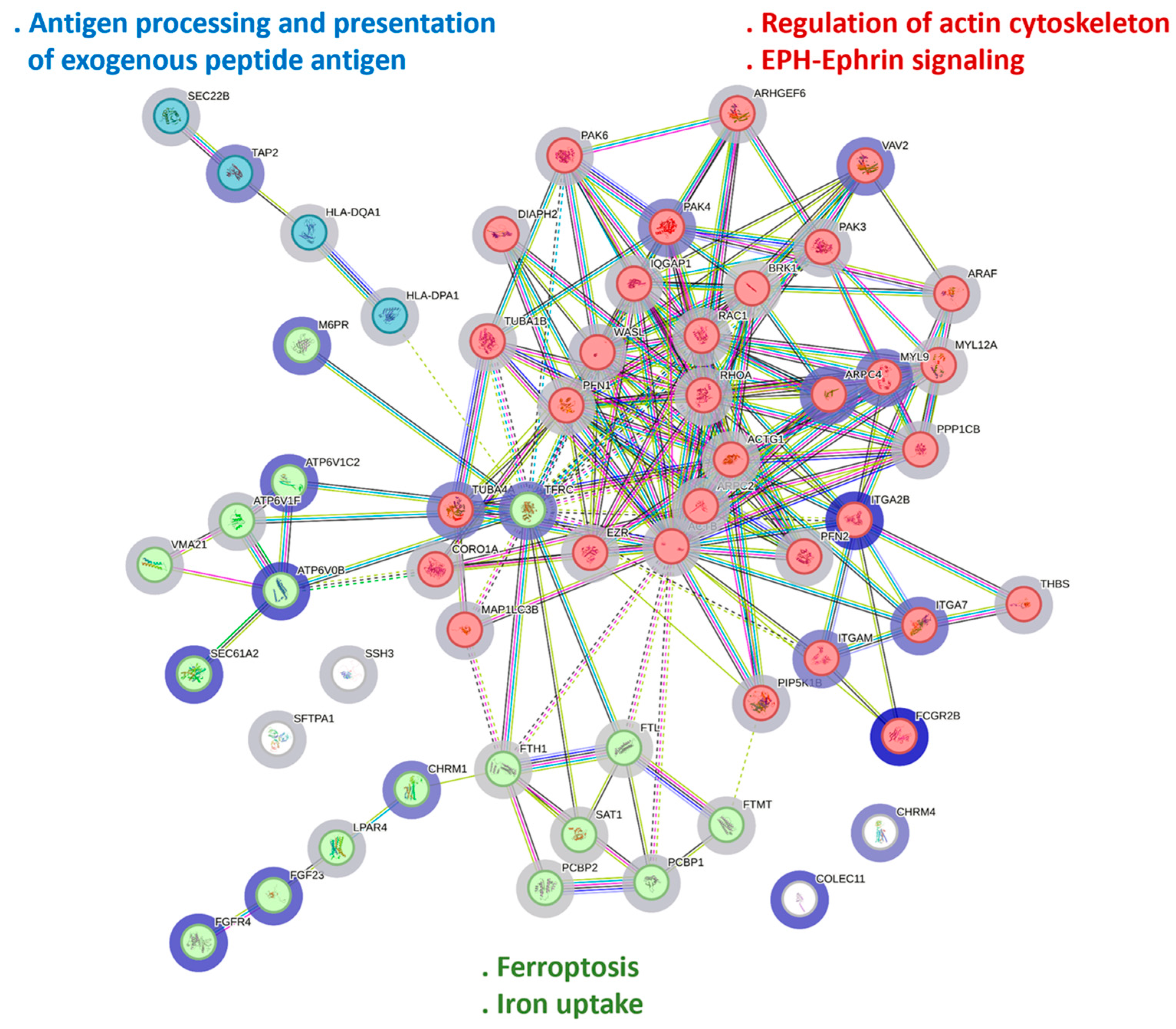 Biomedicines 13 00142 g003