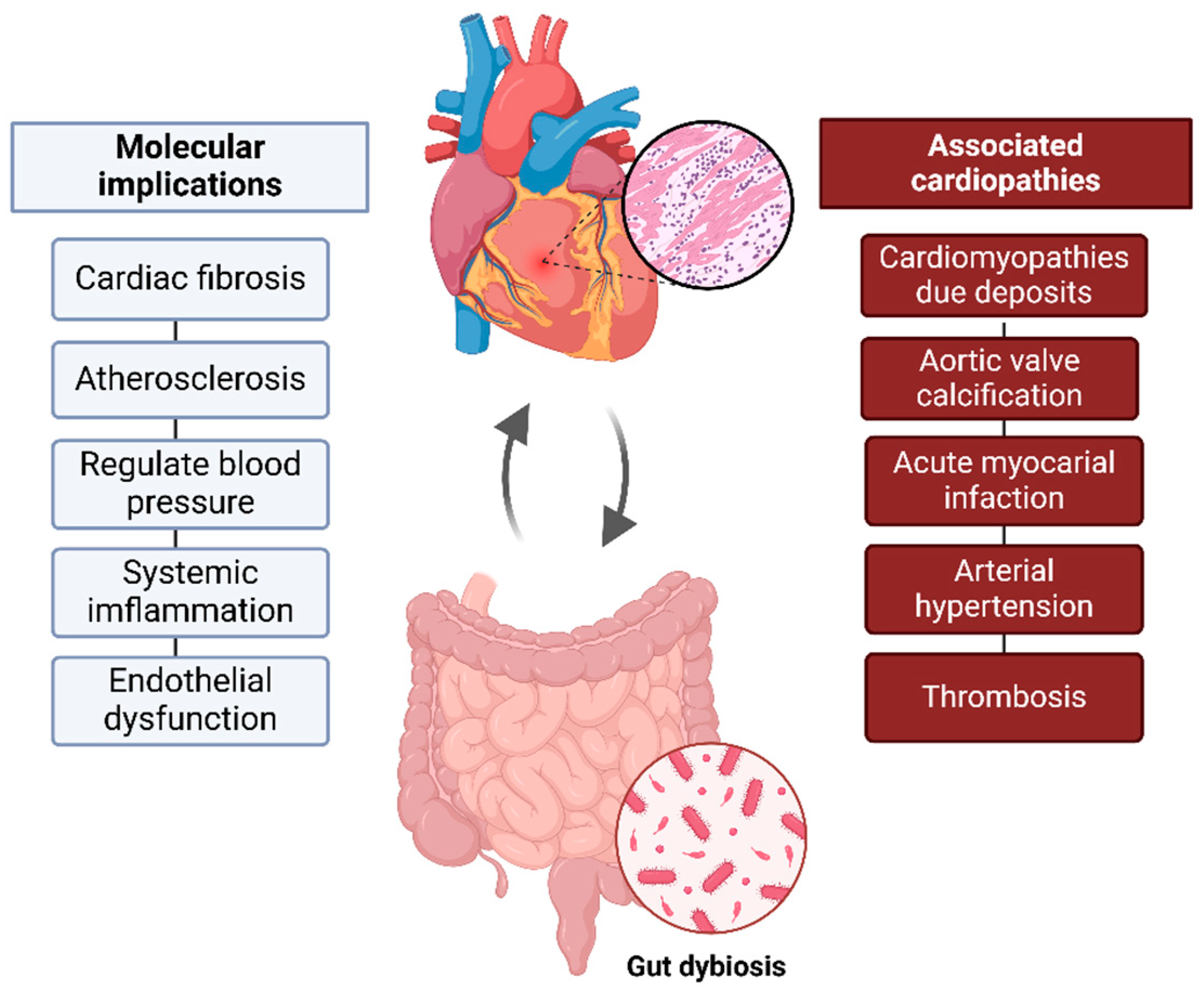 Biomedicines 13 00144 g001