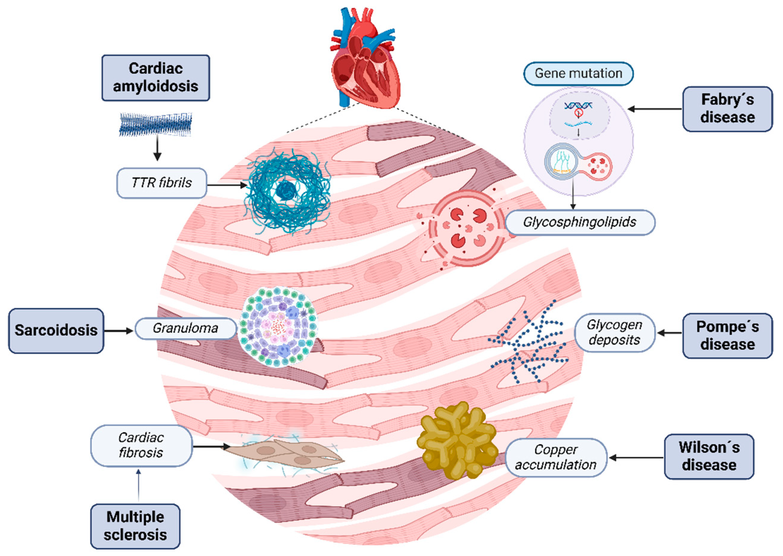 Biomedicines 13 00144 g002