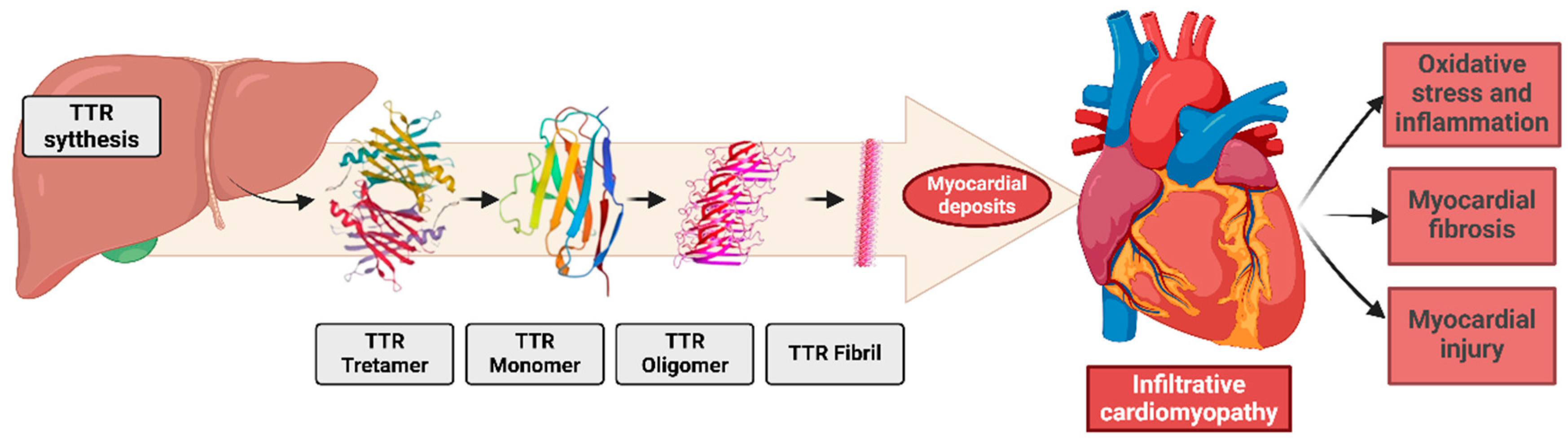 Biomedicines 13 00144 g003