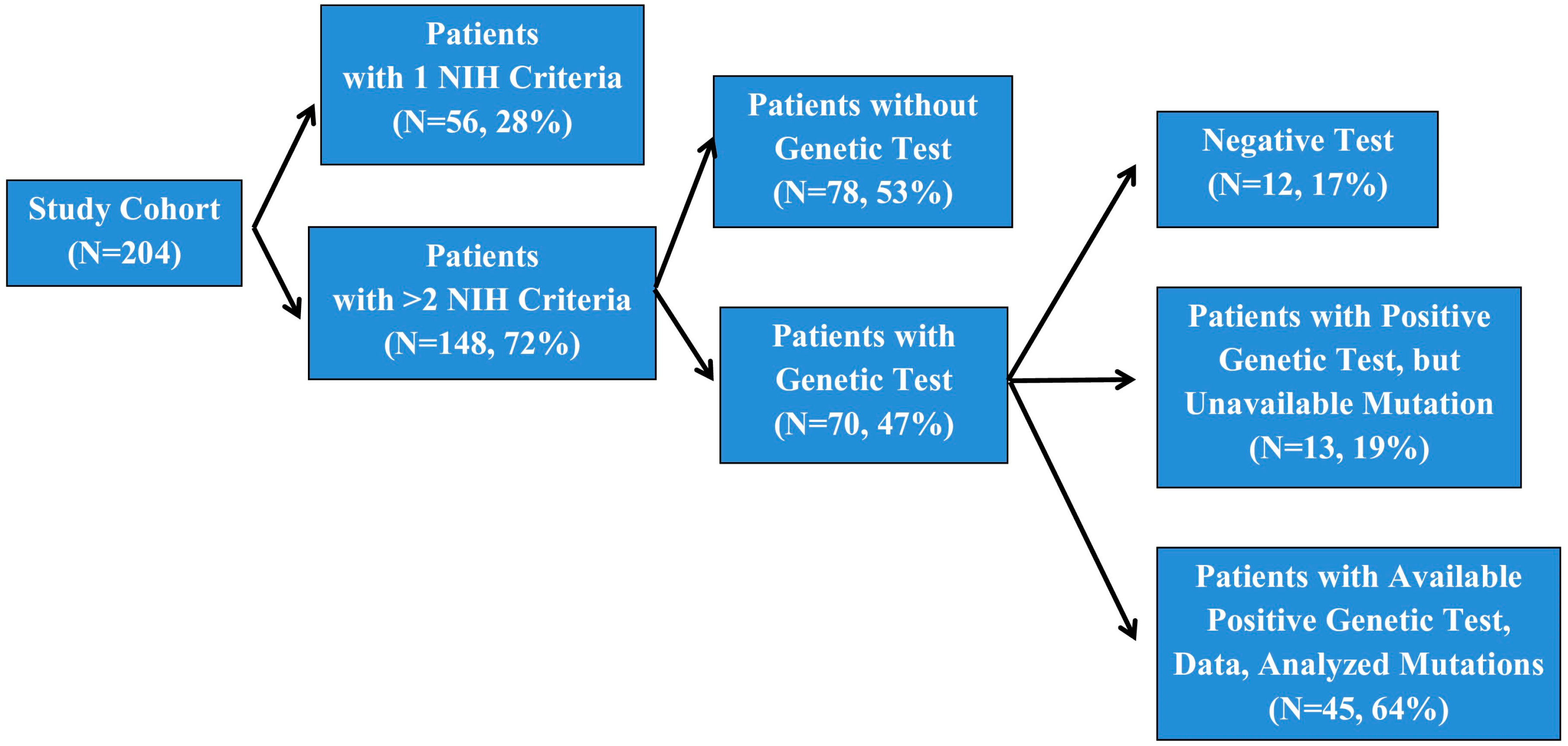 Biomedicines 13 00146 g001