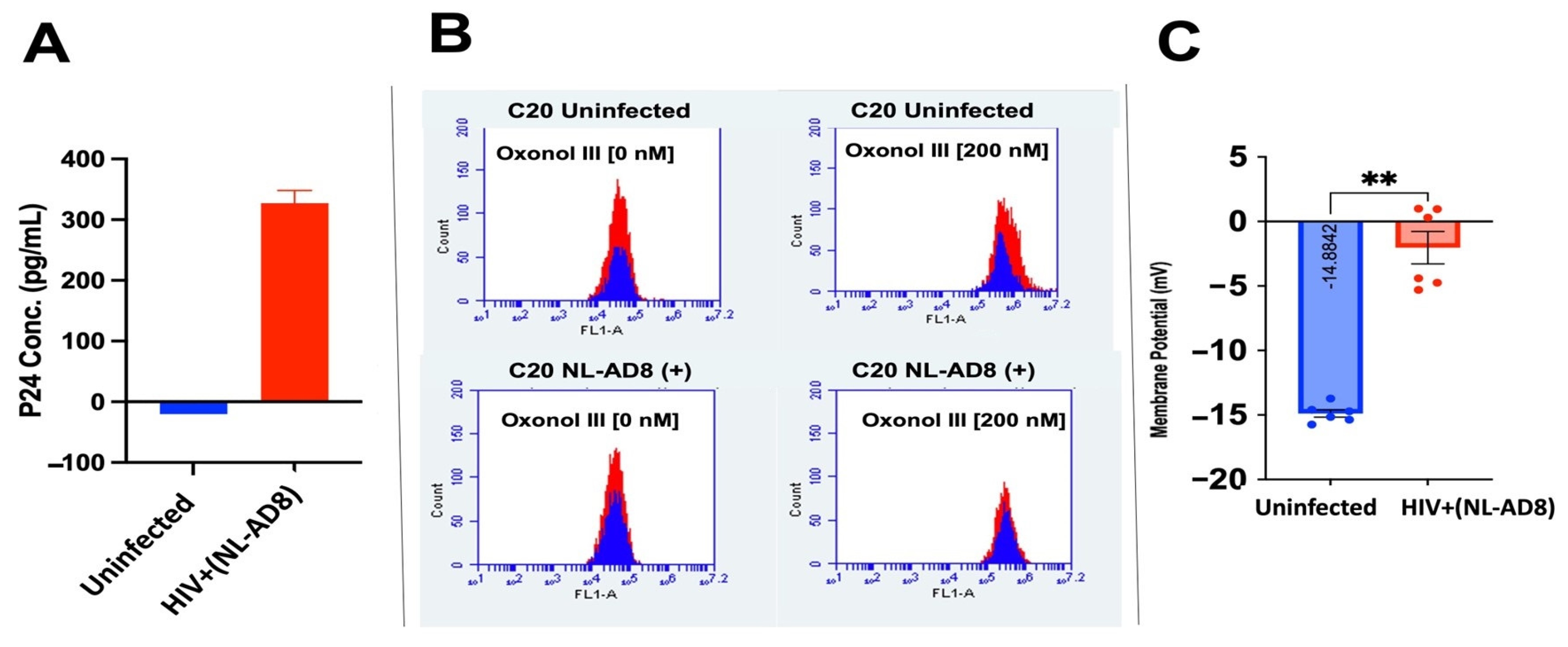 Biomedicines 13 00147 g003