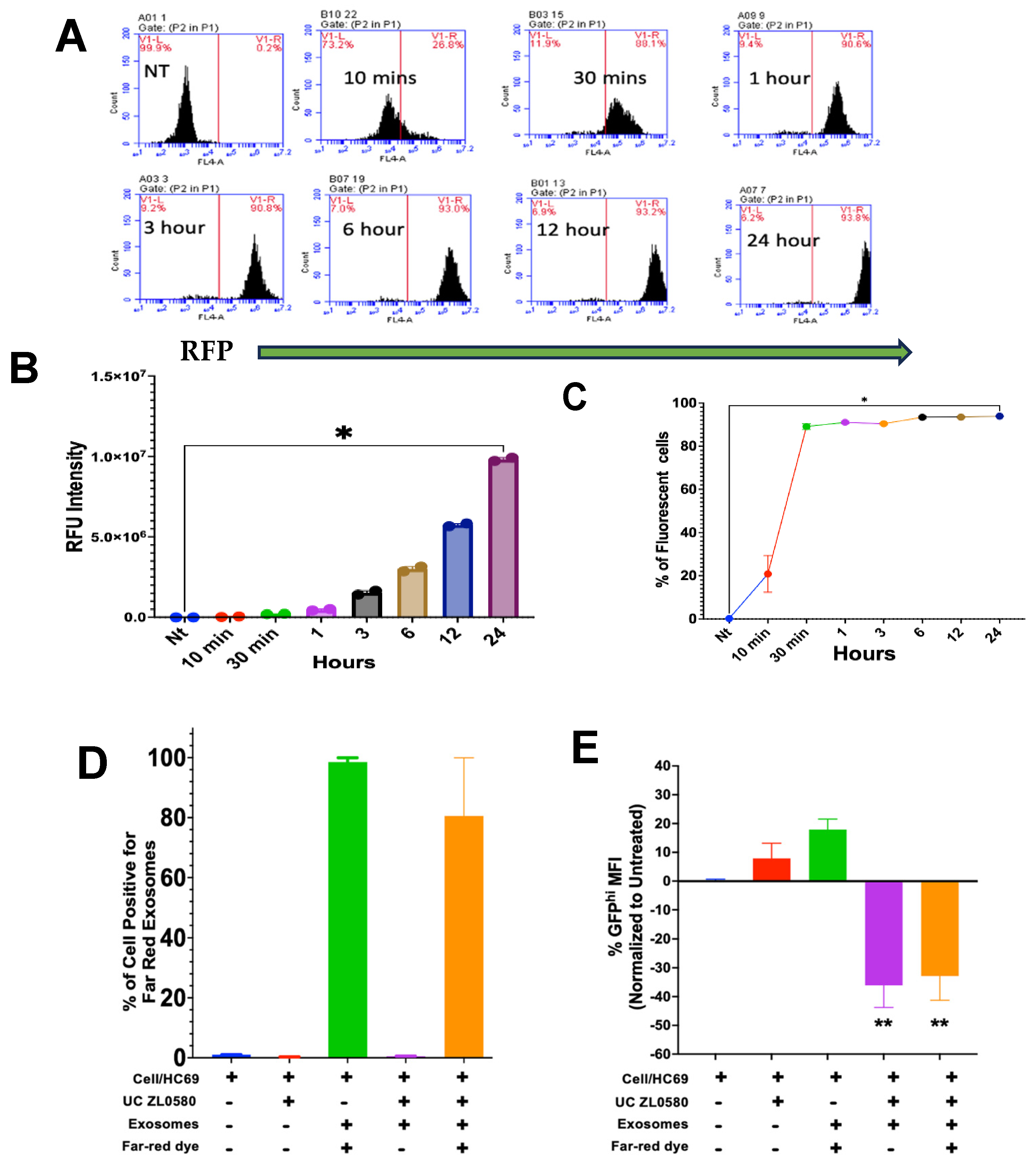 Biomedicines 13 00147 g007