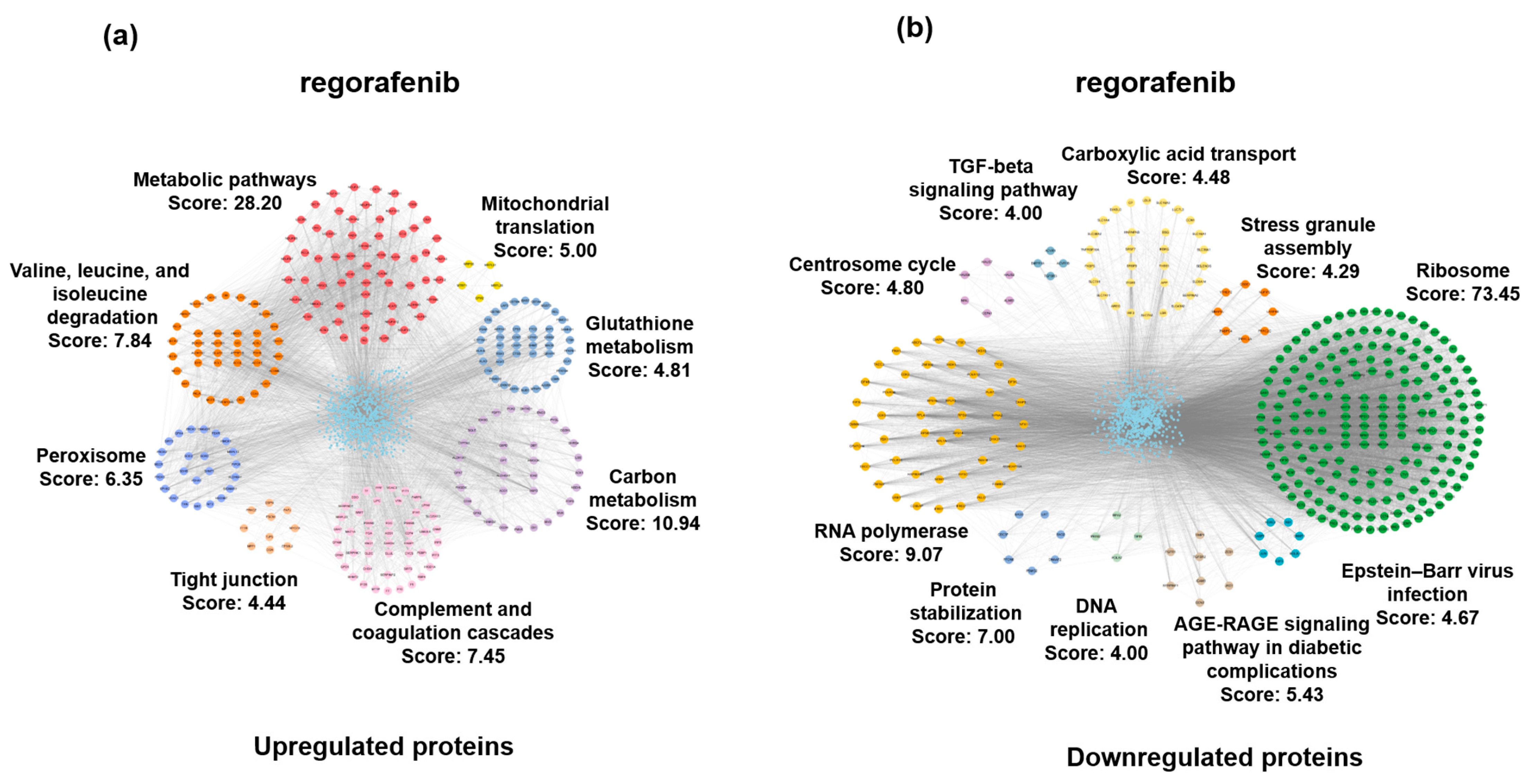 Biomedicines 13 00152 g003