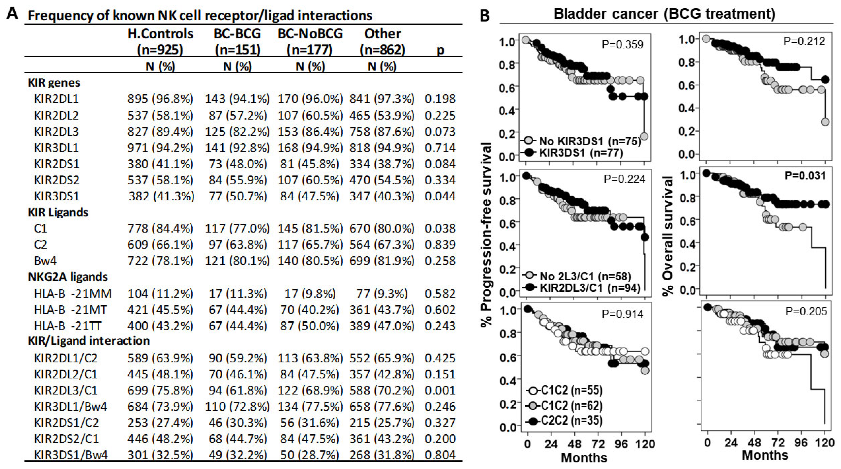 Biomedicines 13 00156 g003