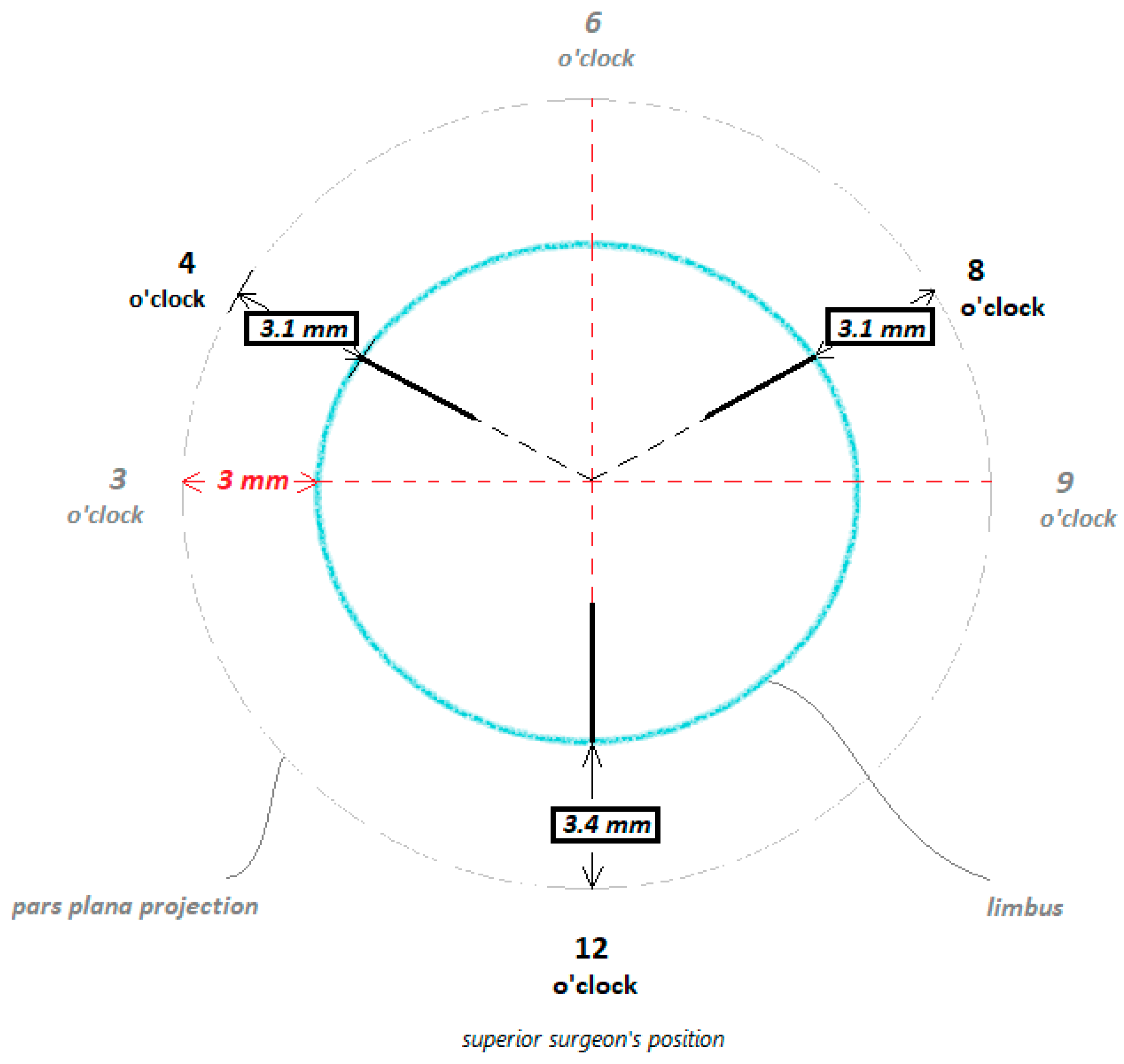 Biomedicines 13 00162 g004