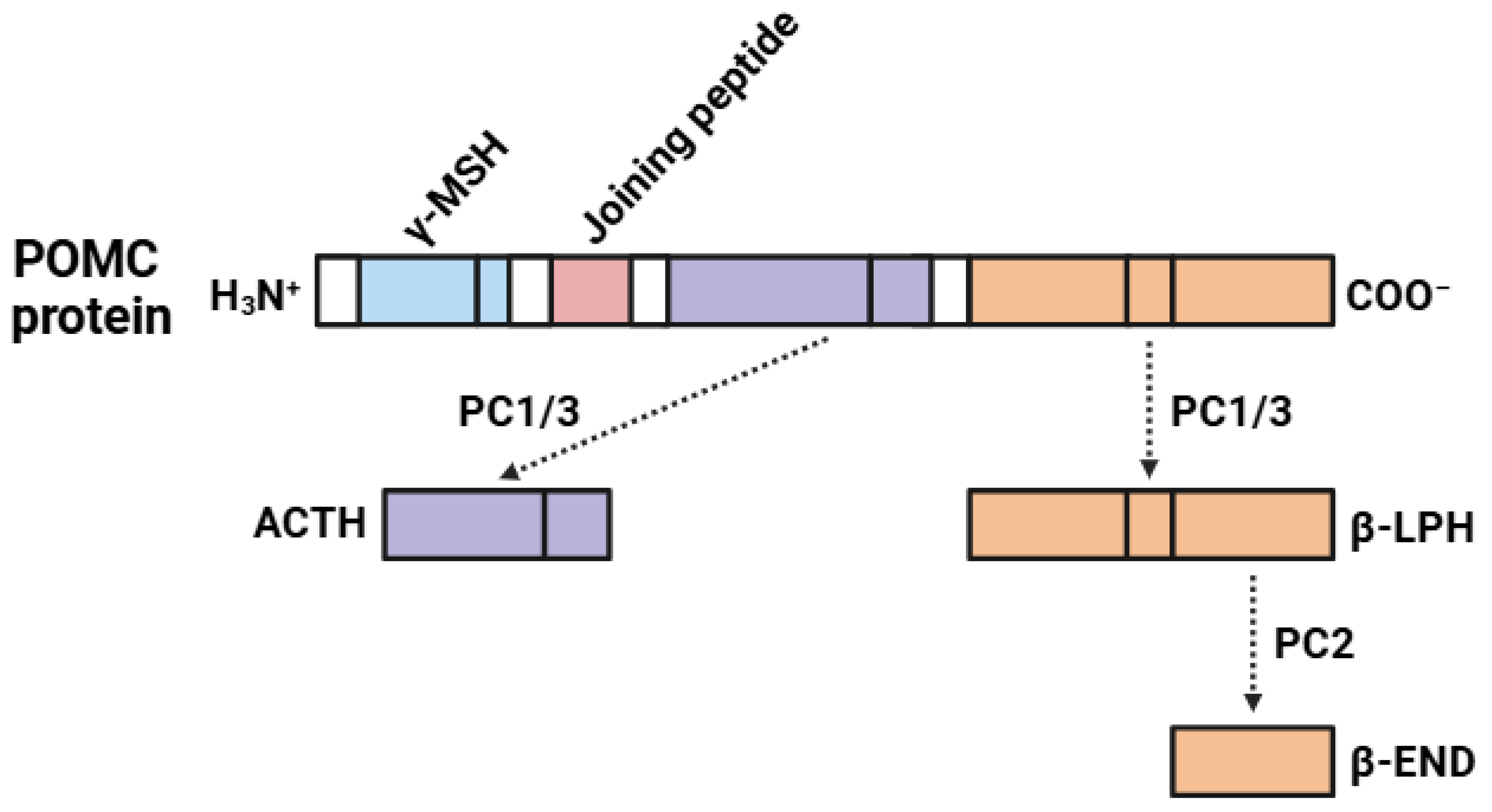 Biomedicines 13 00165 g002
