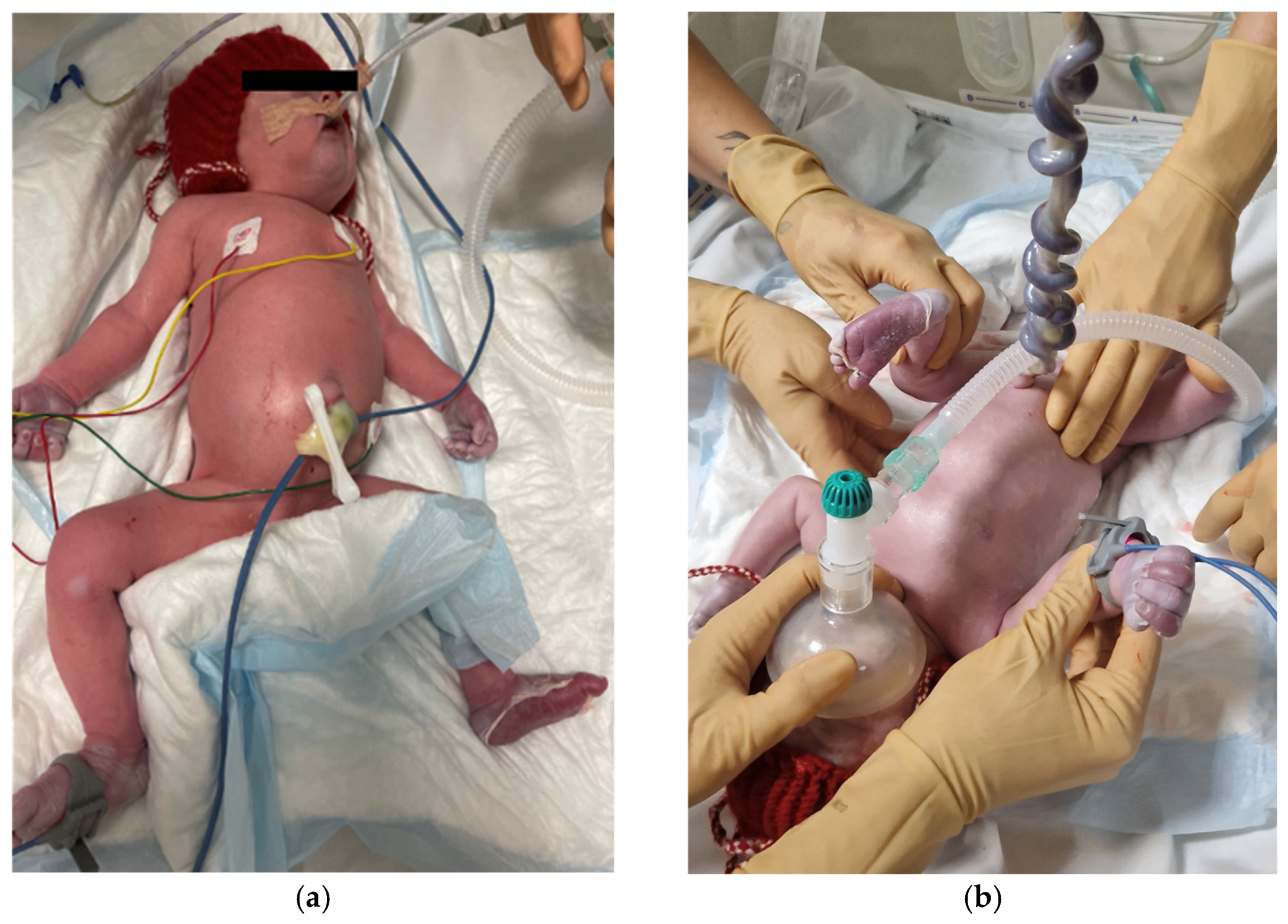 Biomedicines 13 00169 g001