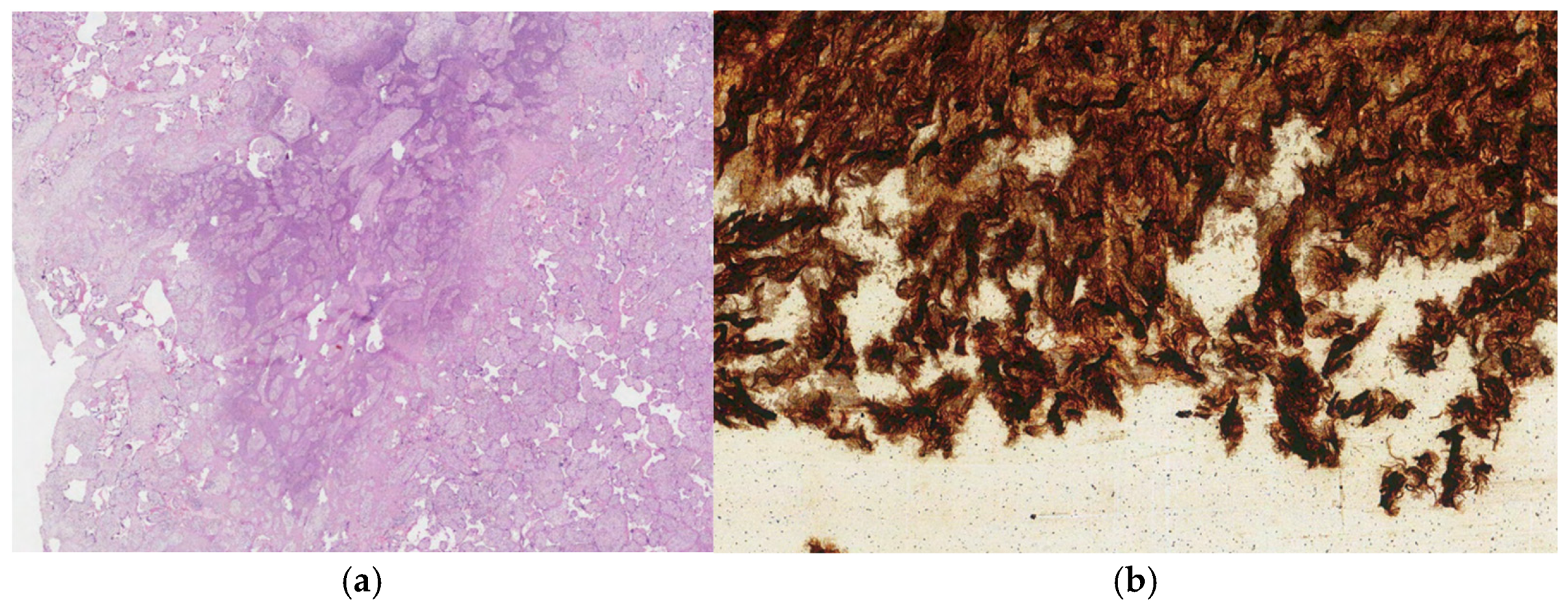 Biomedicines 13 00169 g003