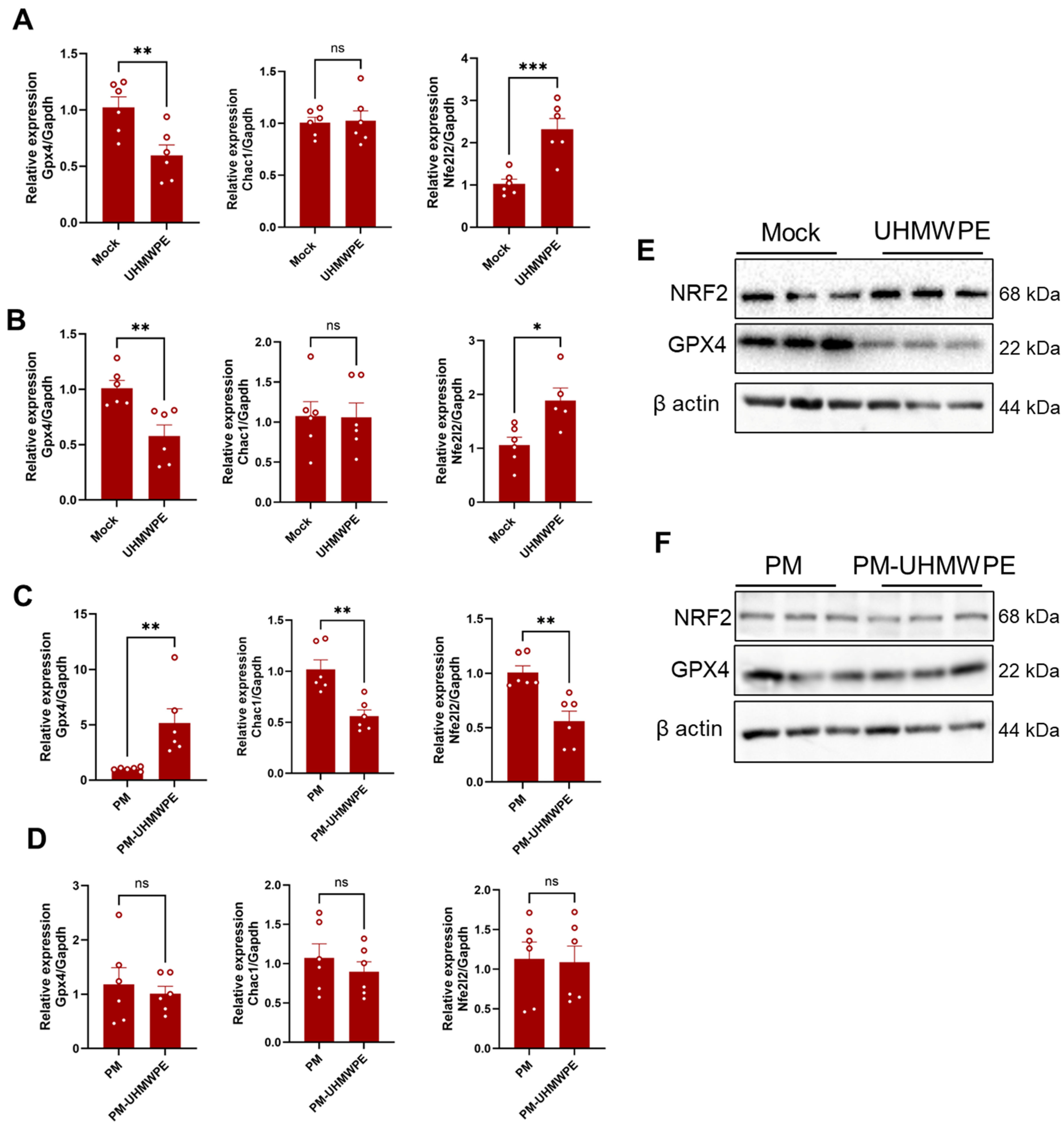 Biomedicines 13 00170 g002
