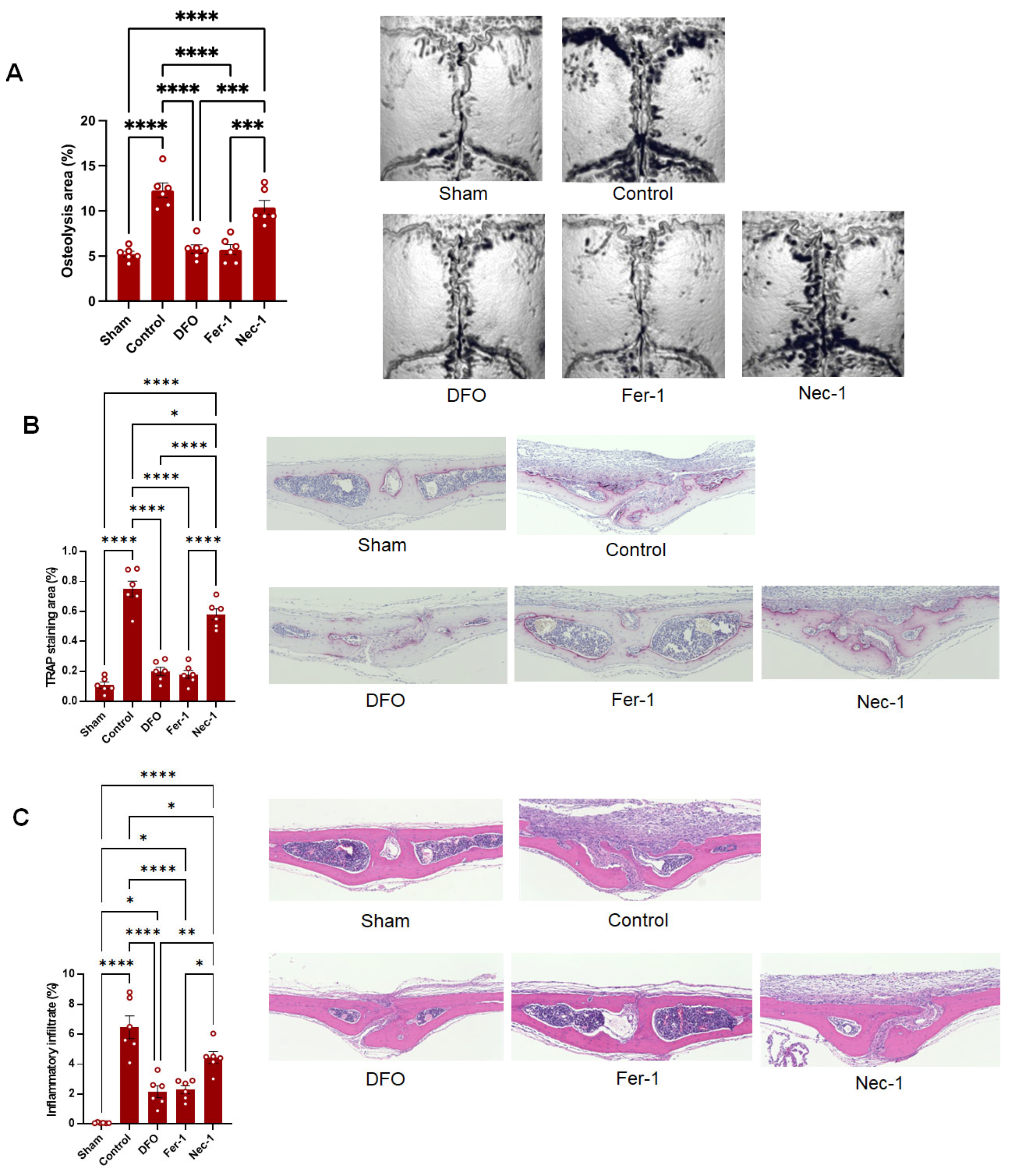 Biomedicines 13 00170 g003