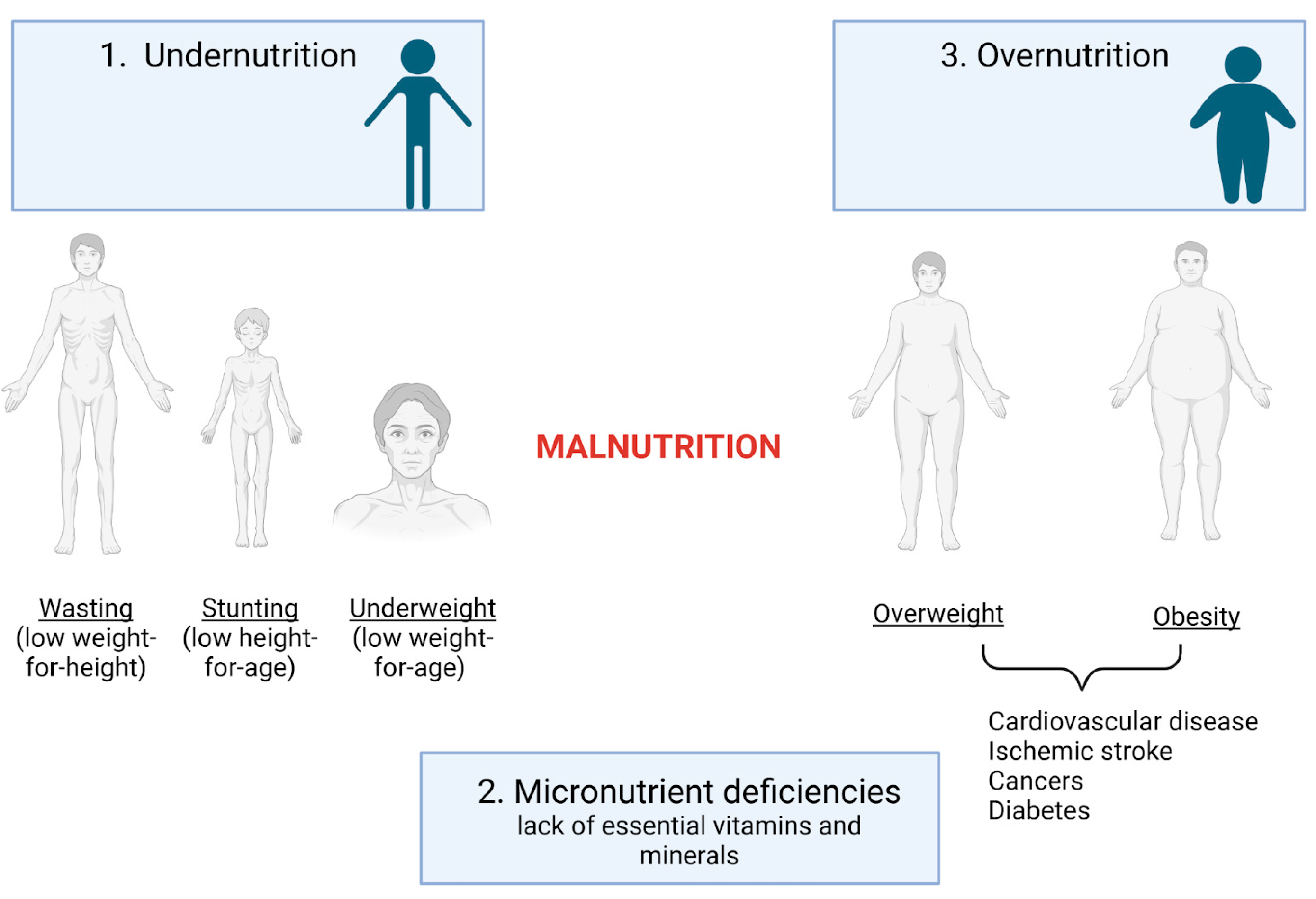 Biomedicines 13 00179 g001