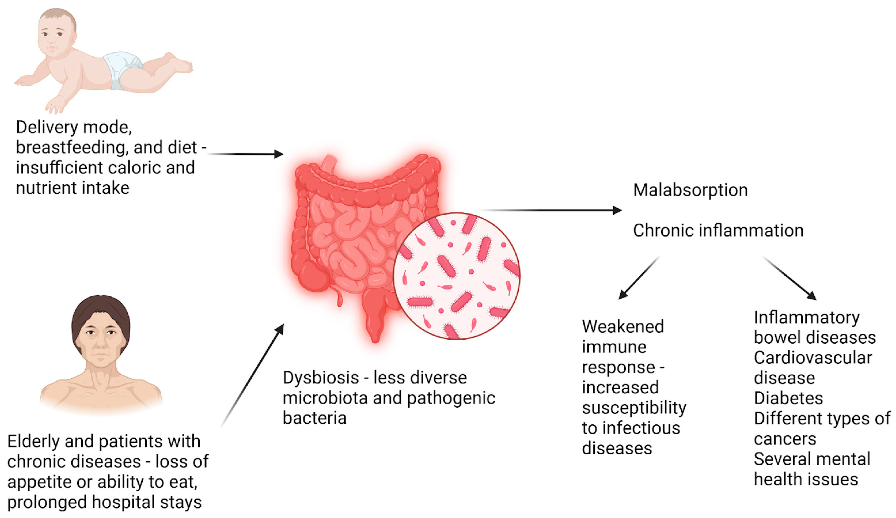Biomedicines 13 00179 g003