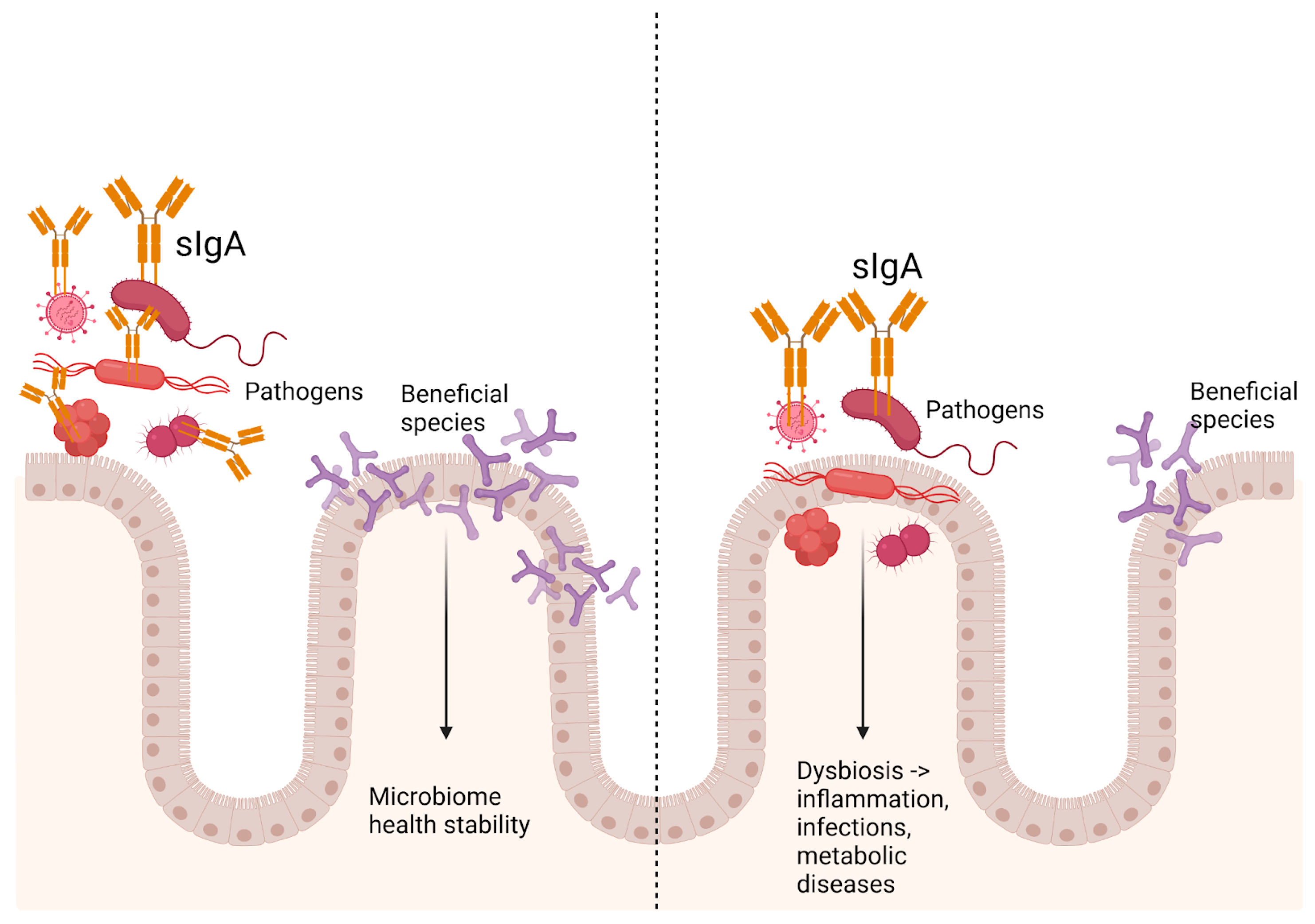 Biomedicines 13 00179 g004