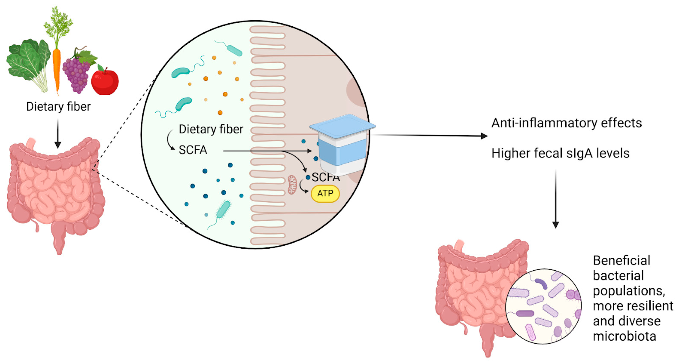 Biomedicines 13 00179 g005