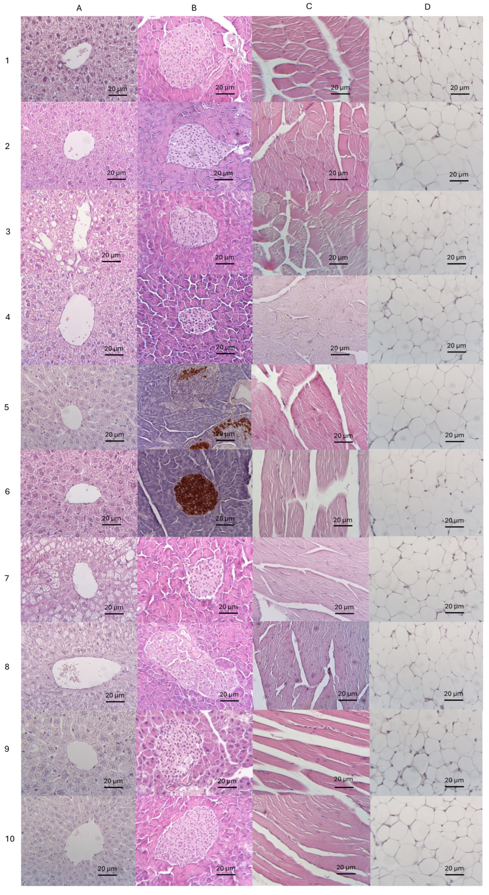 Biomedicines 13 00183 g010