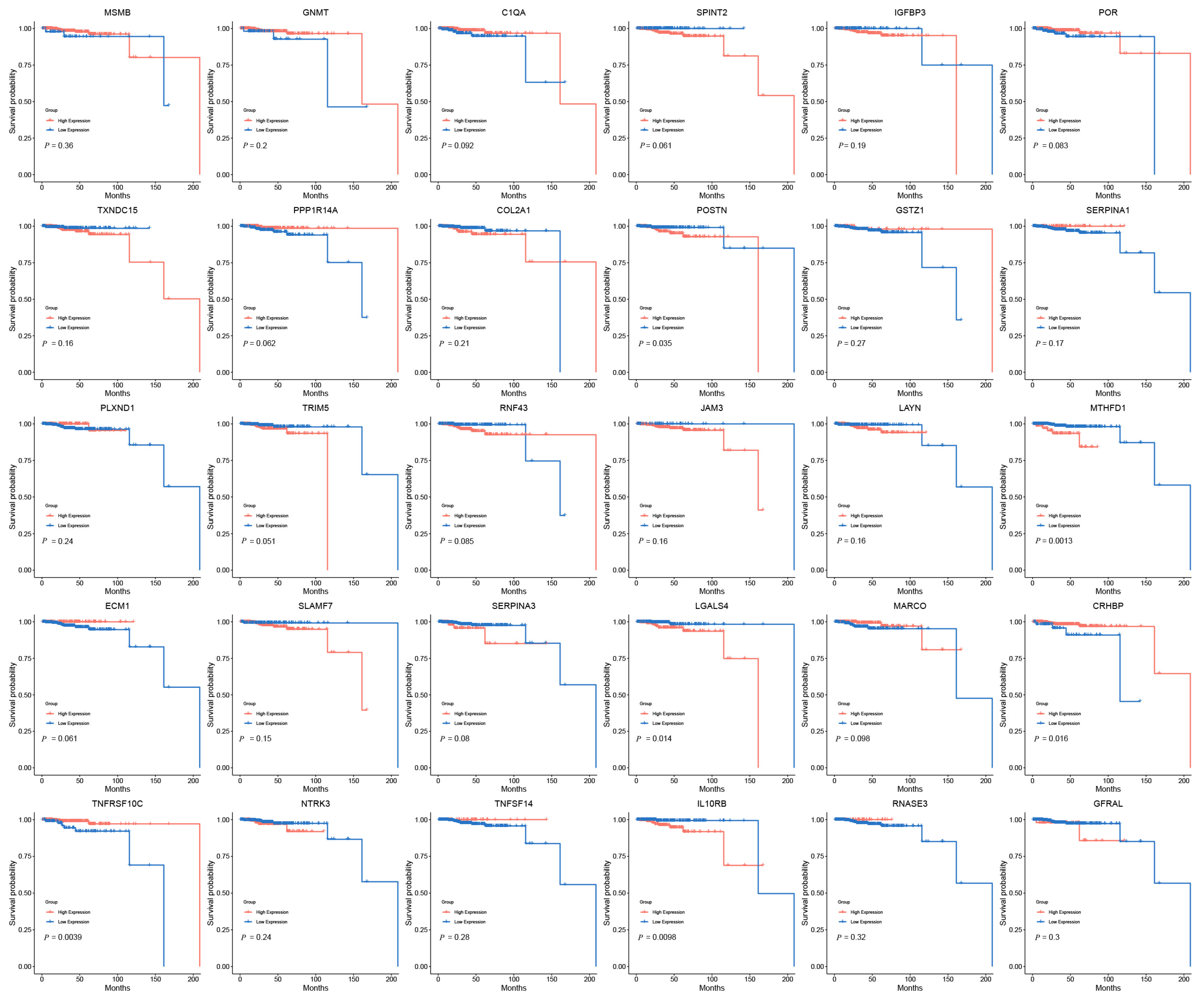 Biomedicines 13 00185 g006