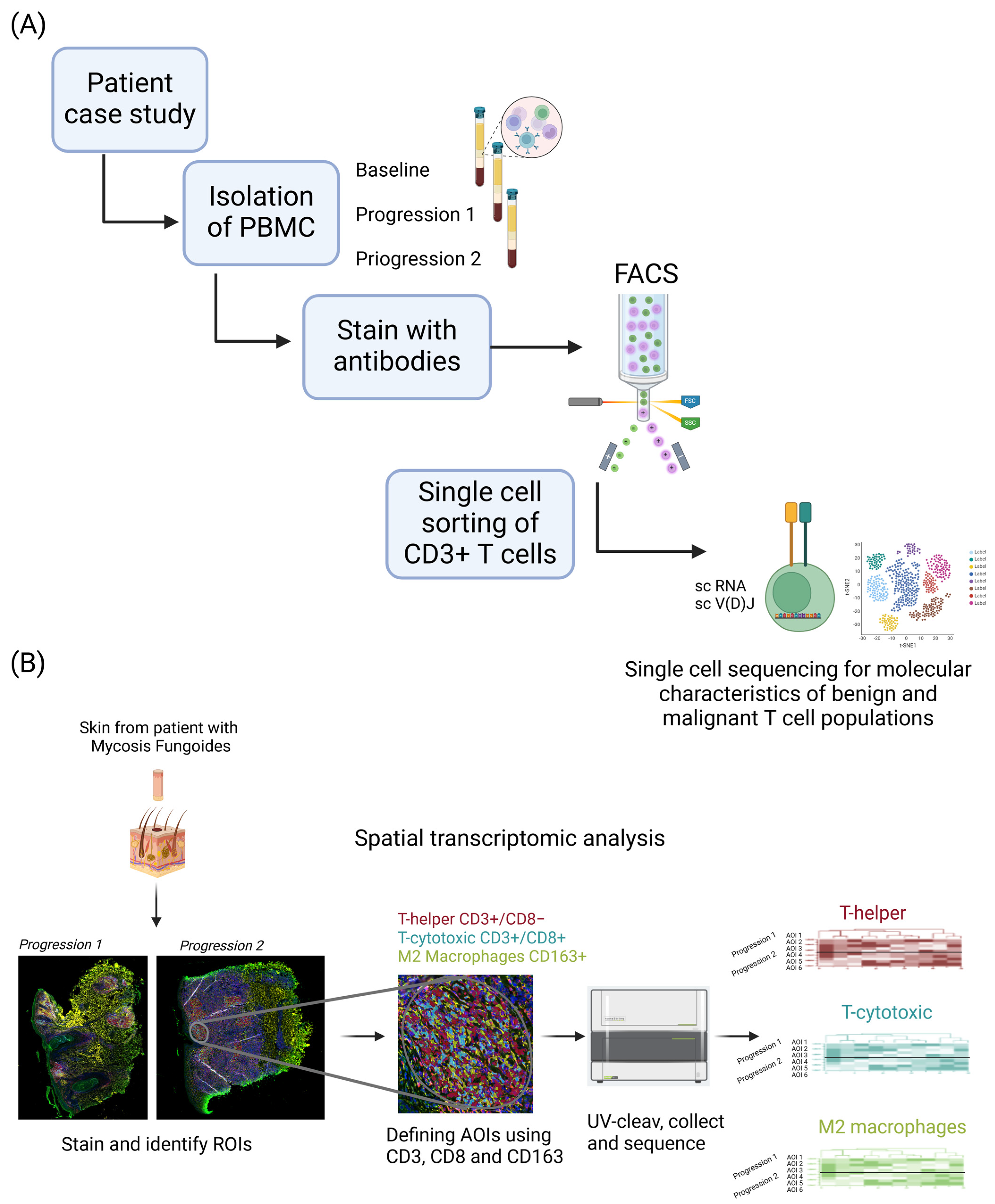 Biomedicines 13 00186 g001