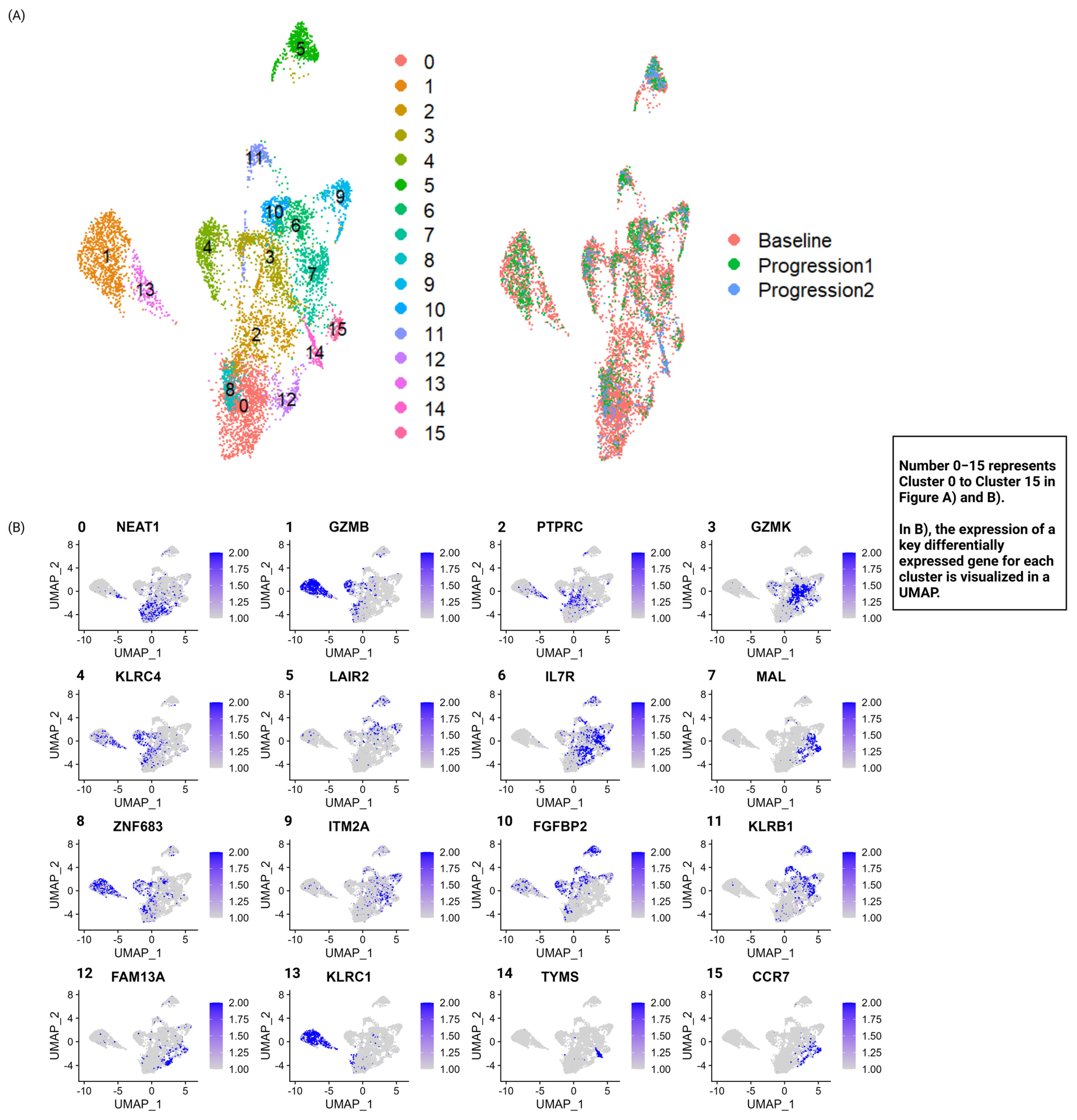 Biomedicines 13 00186 g002
