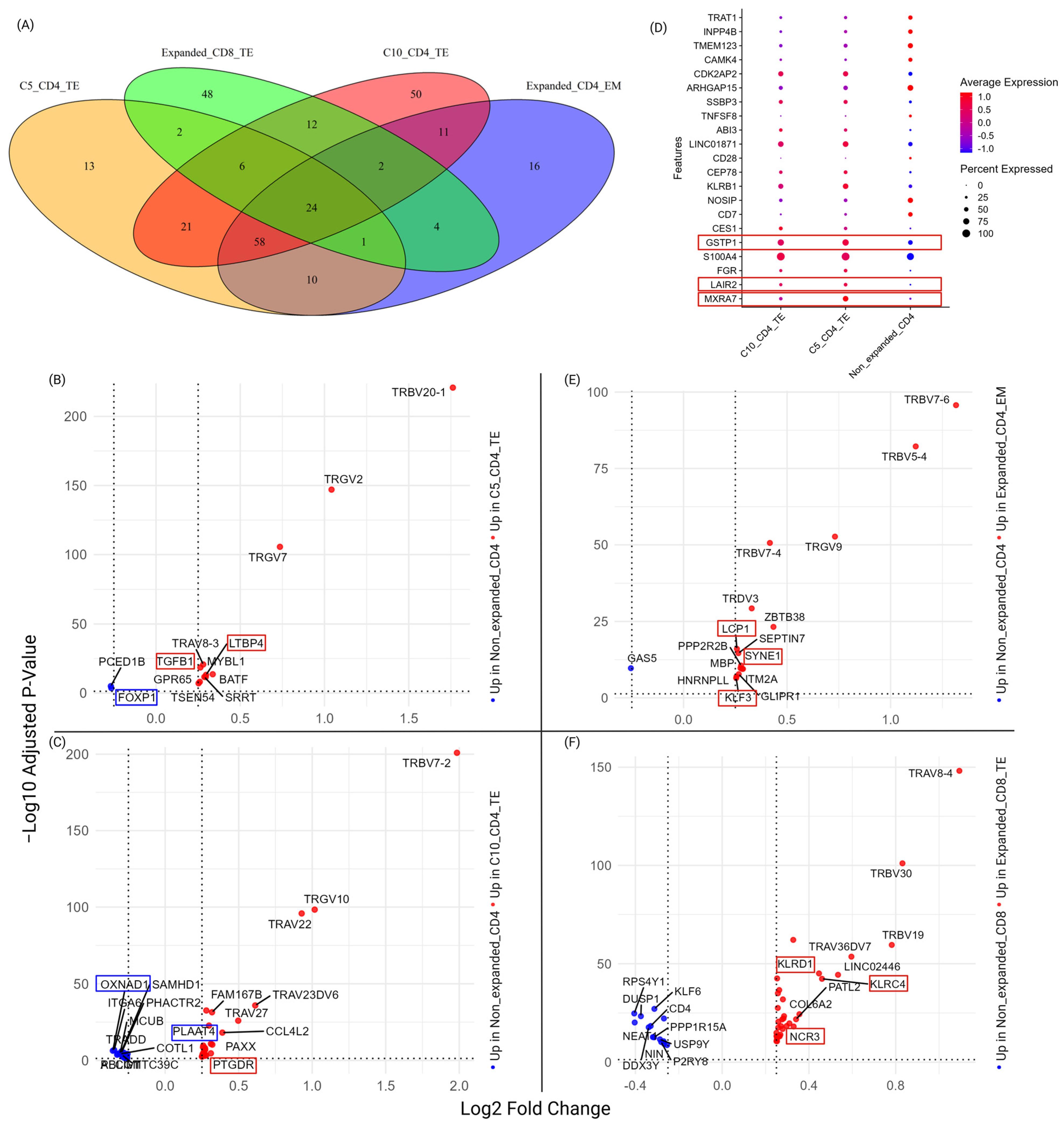 Biomedicines 13 00186 g005