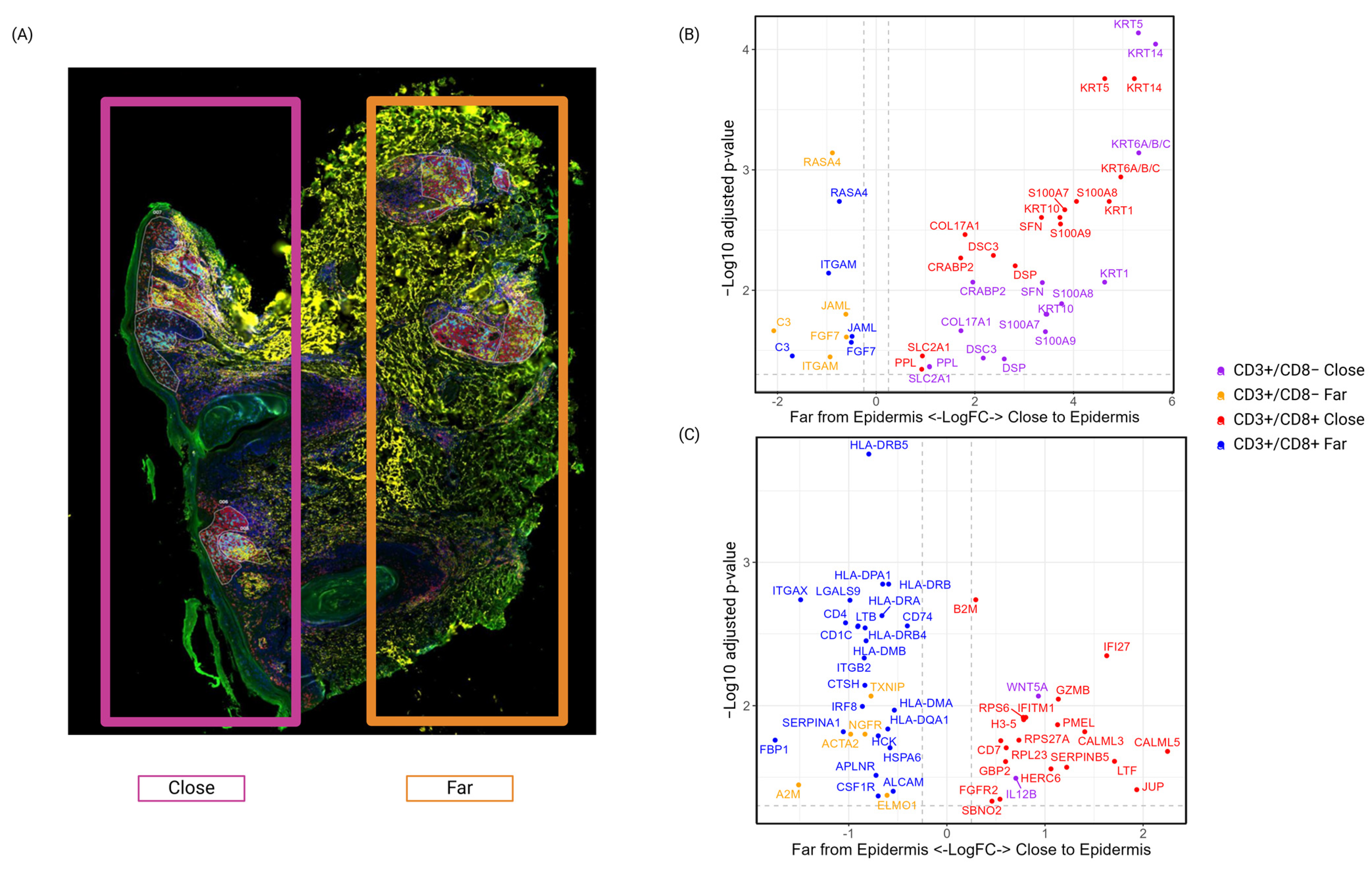 Biomedicines 13 00186 g008