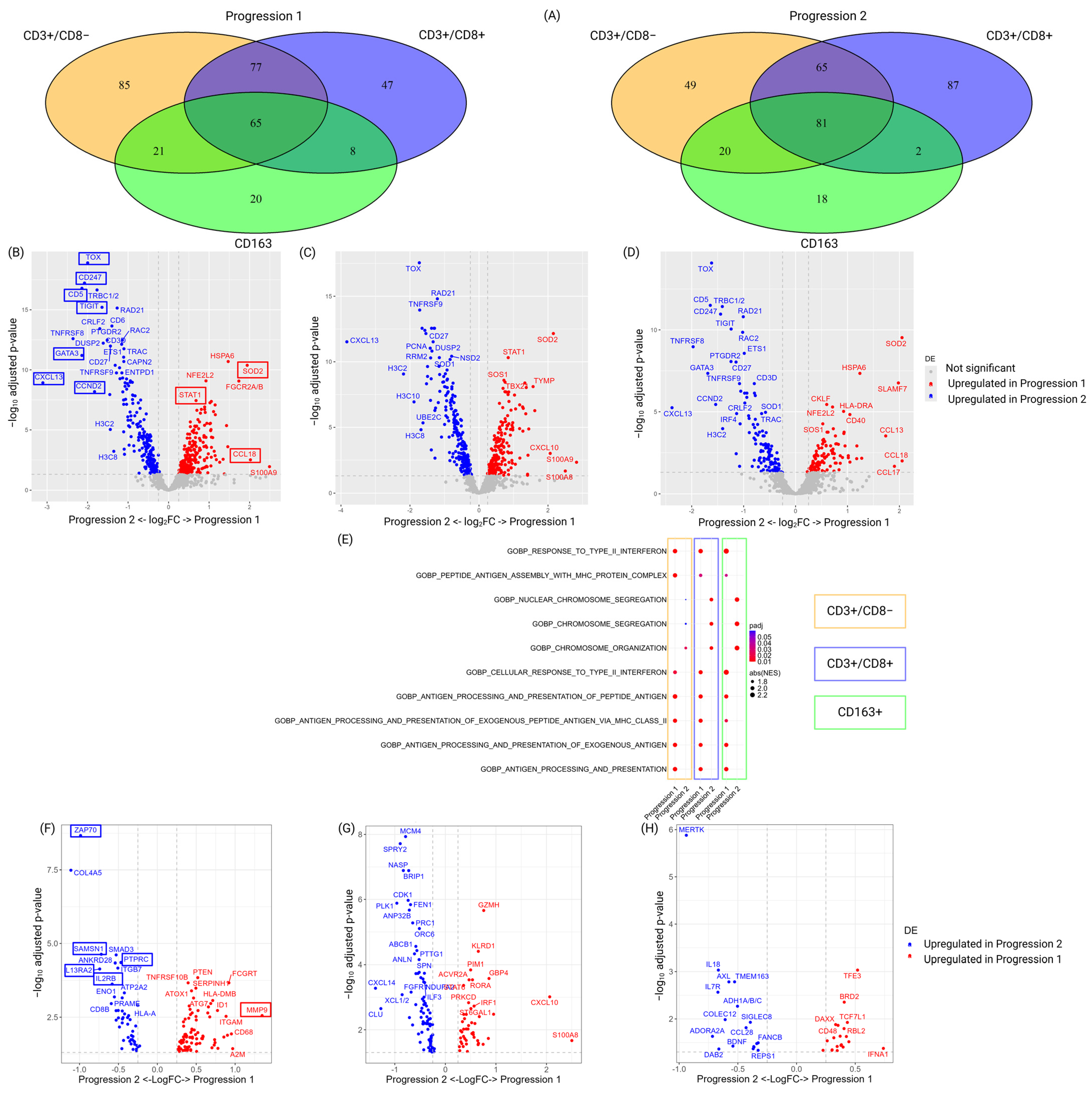 Biomedicines 13 00186 g009