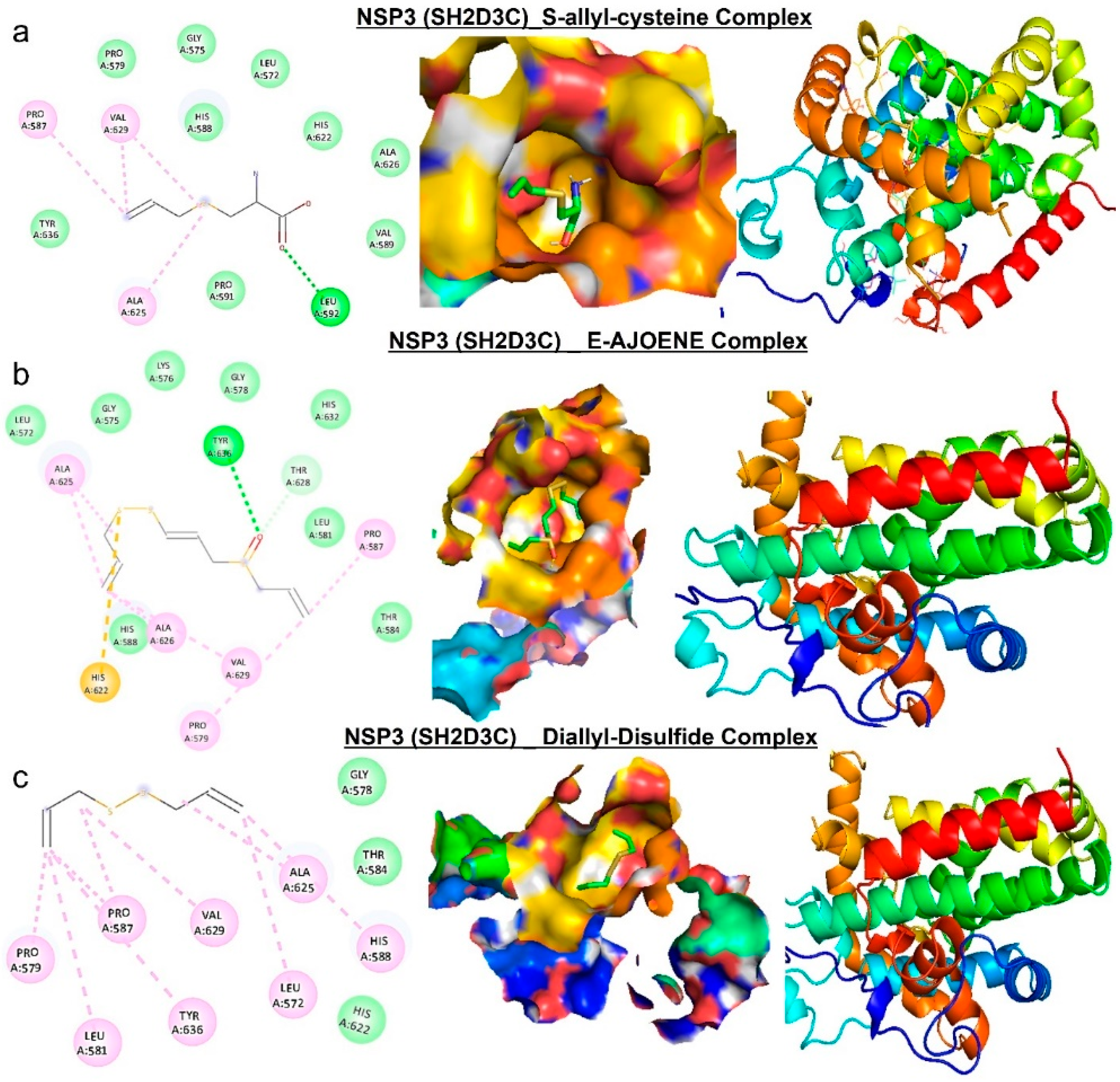 Biomedicines 13 00188 g008