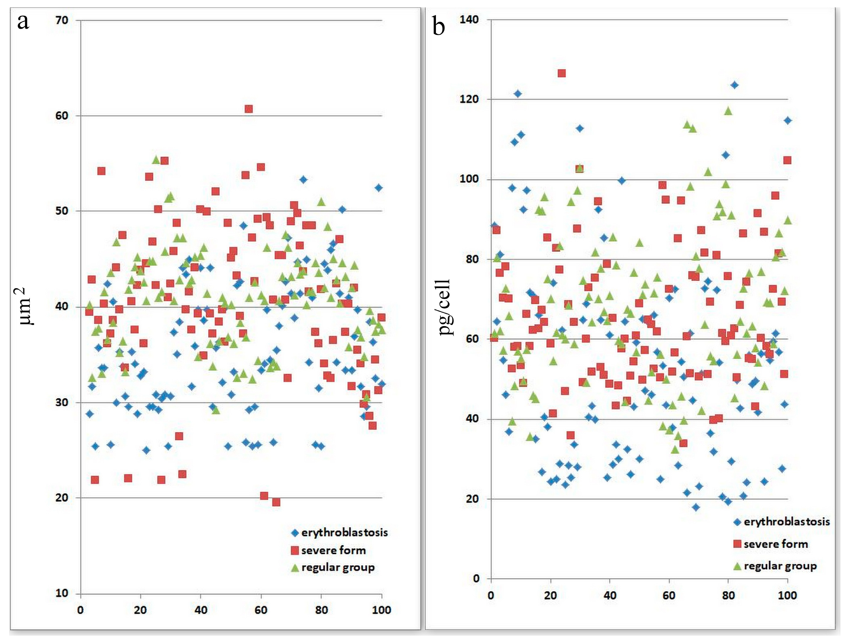 Biomedicines 13 00191 g002