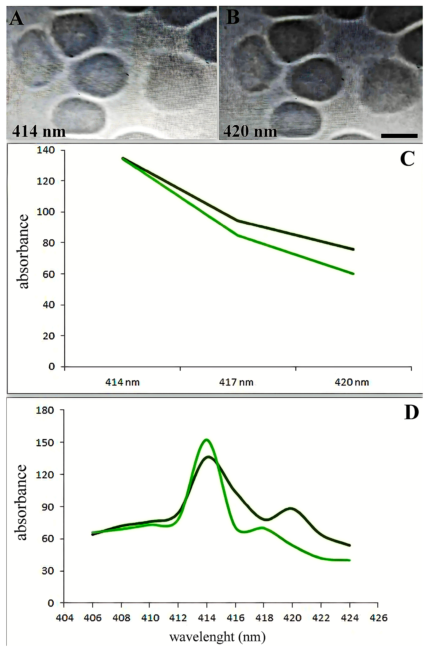 Biomedicines 13 00191 g003