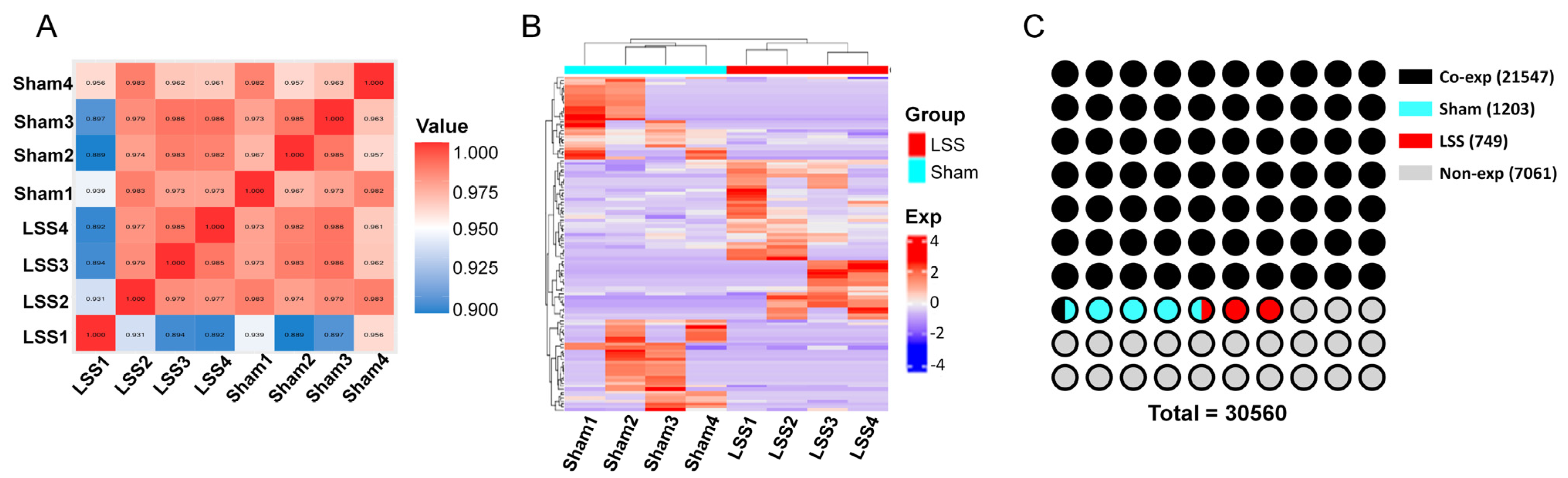 Biomedicines 13 00192 g001