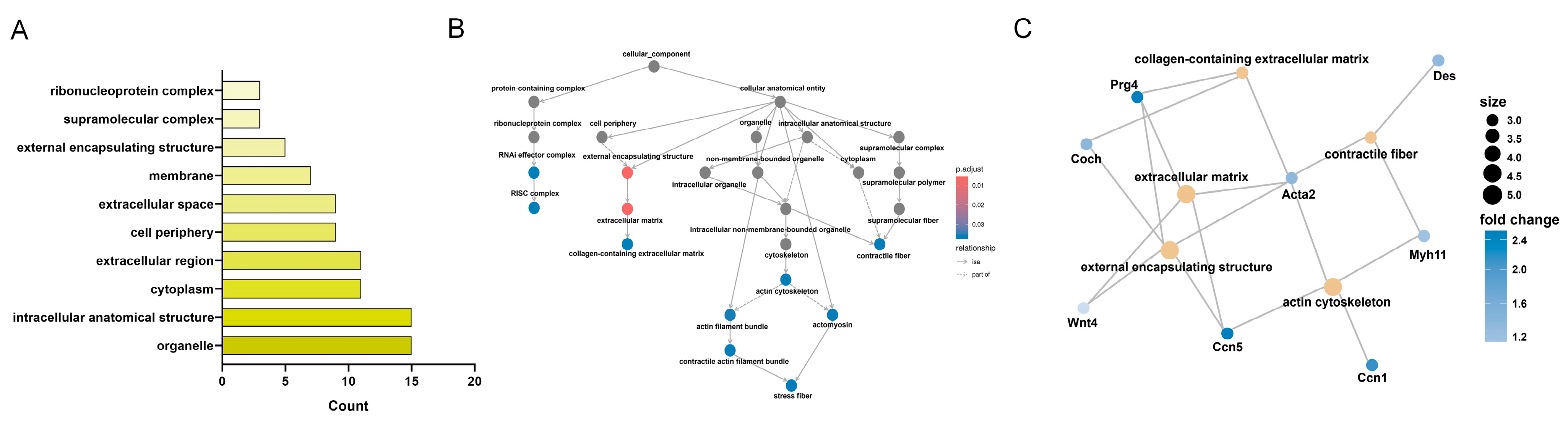 Biomedicines 13 00192 g006