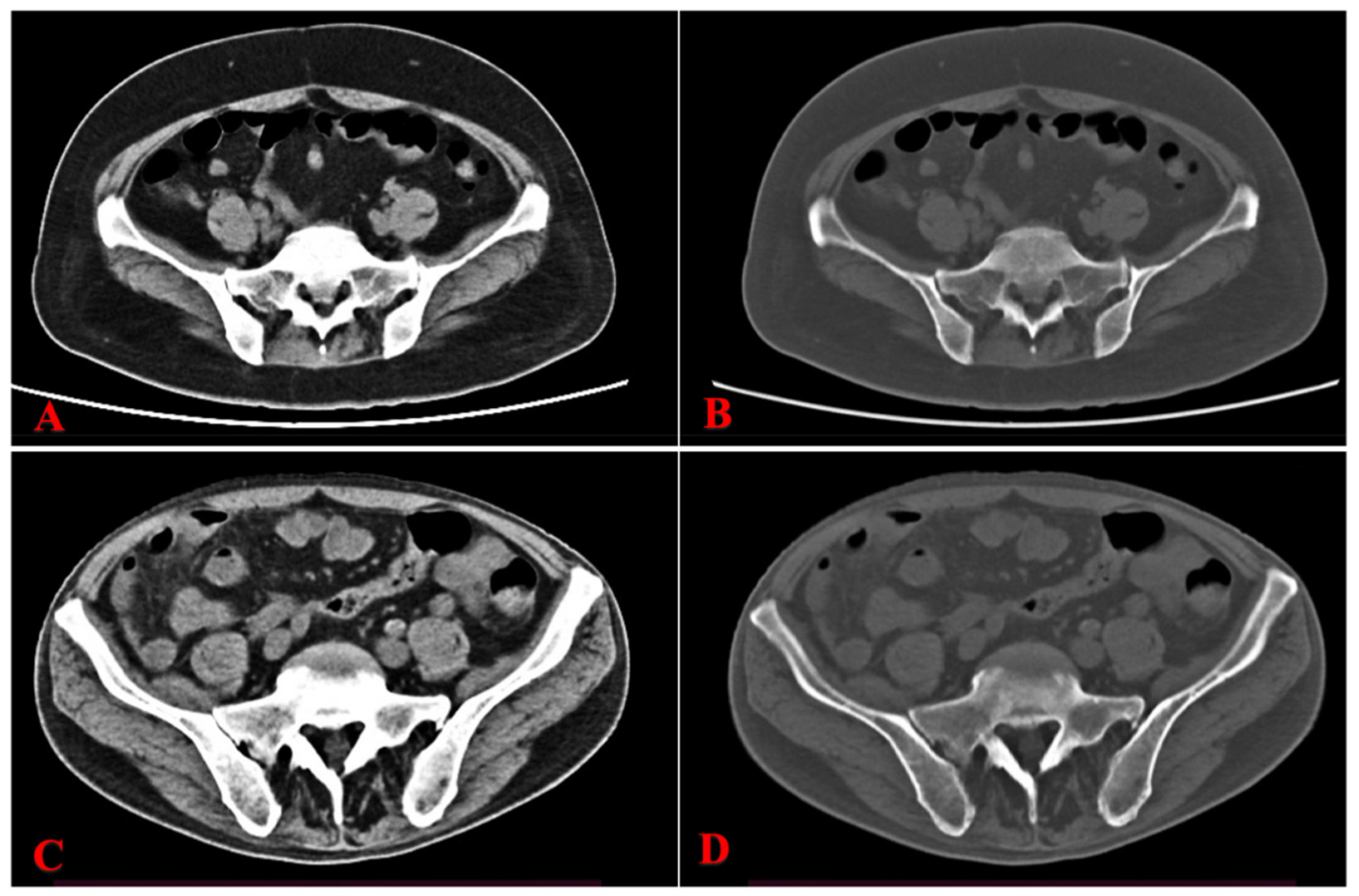 Biomedicines 13 00198 g002