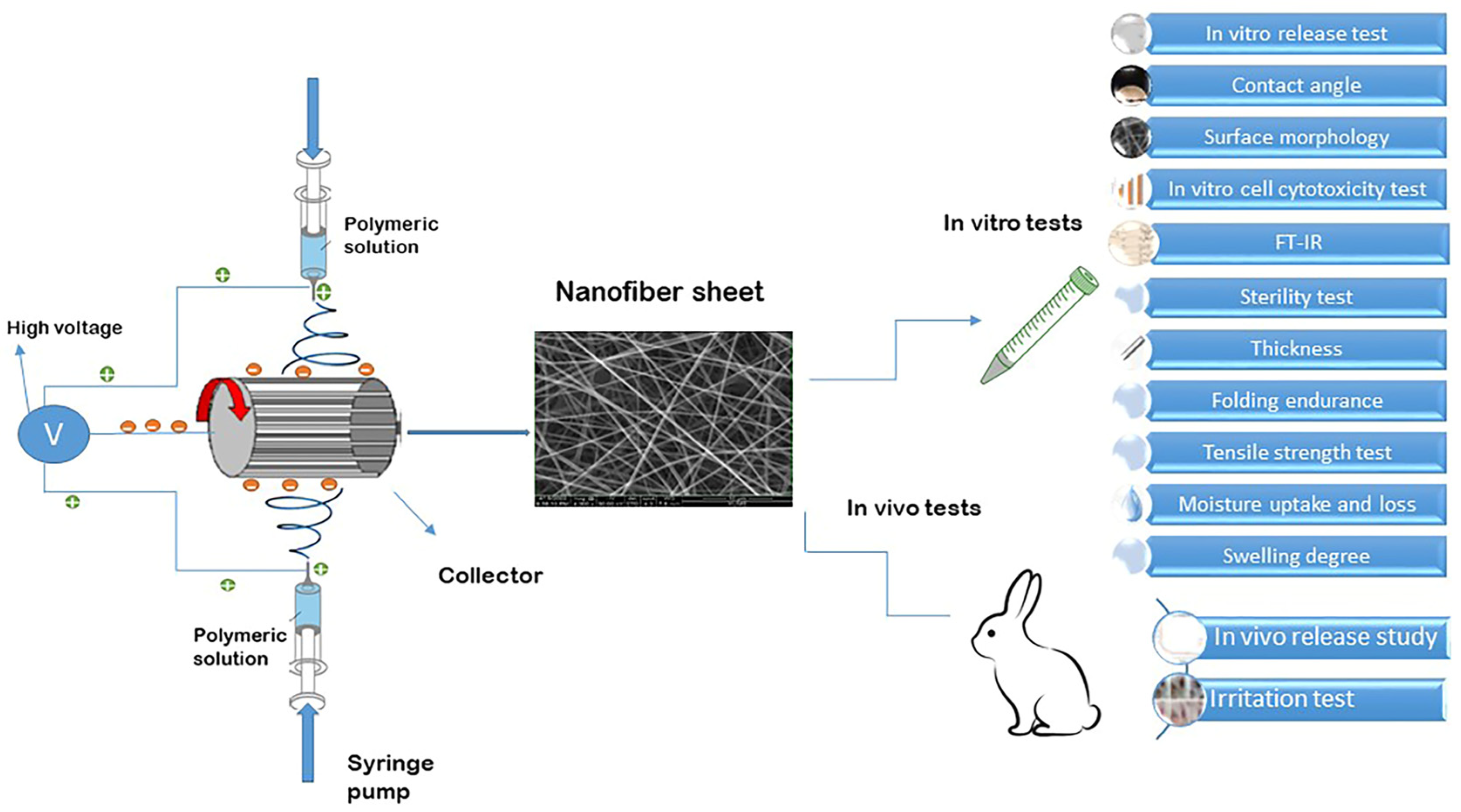 Biomedicines 13 00200 g001