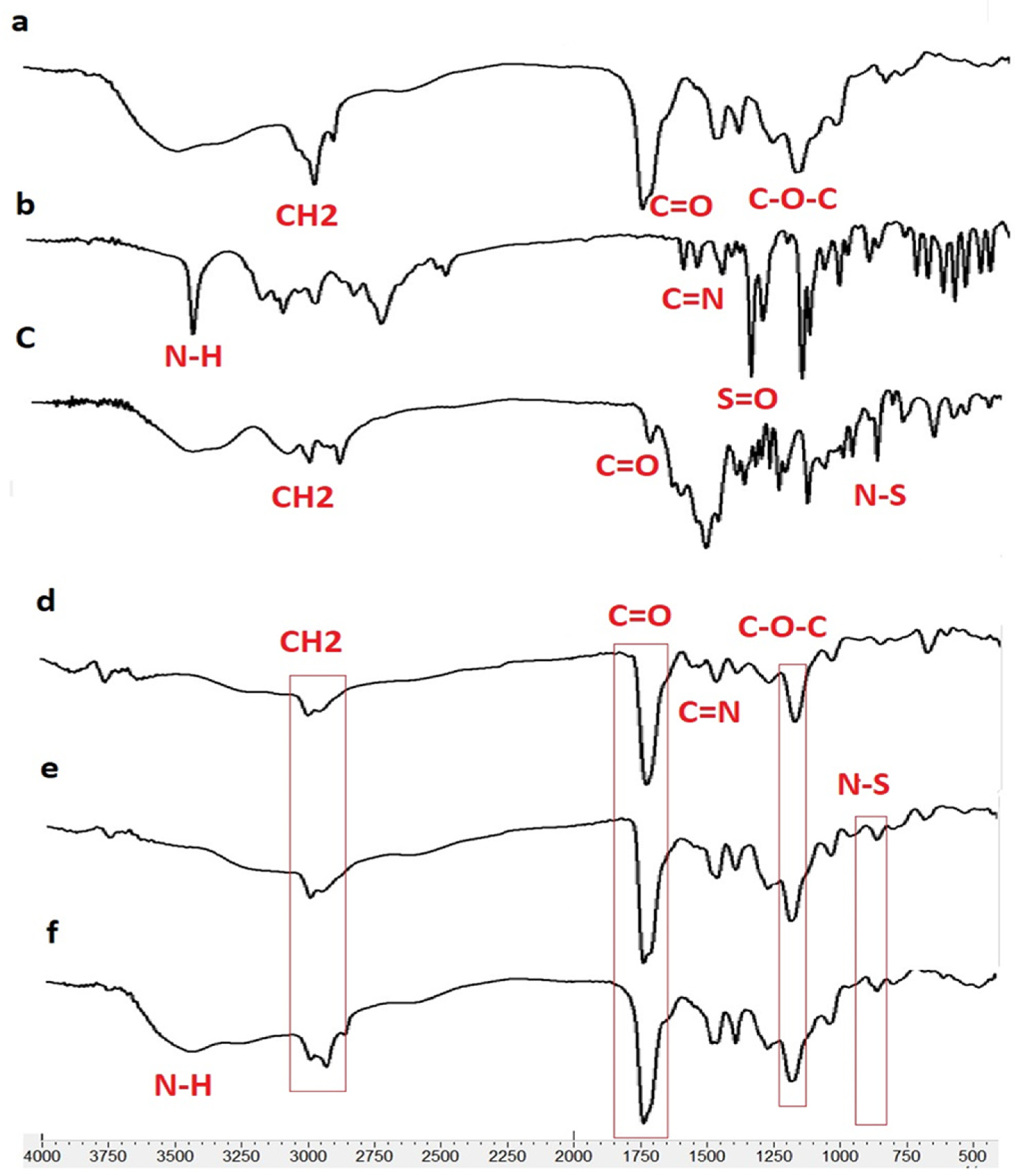 Biomedicines 13 00200 g003