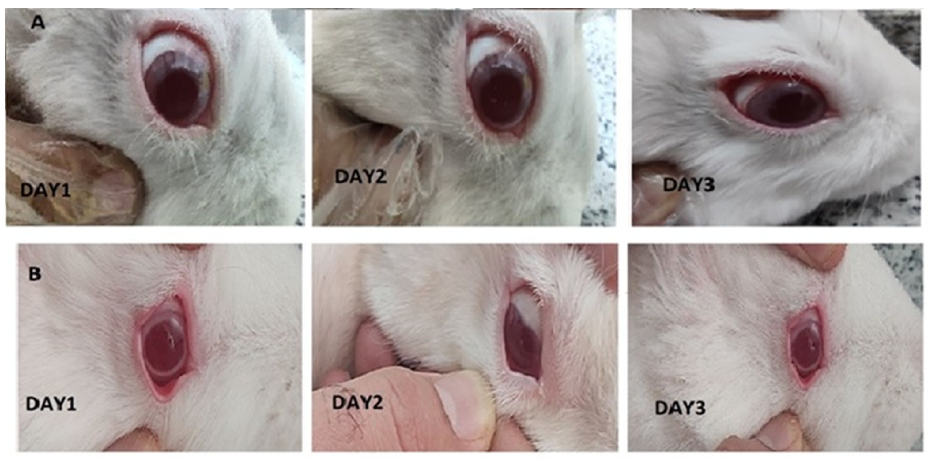 Biomedicines 13 00200 g009